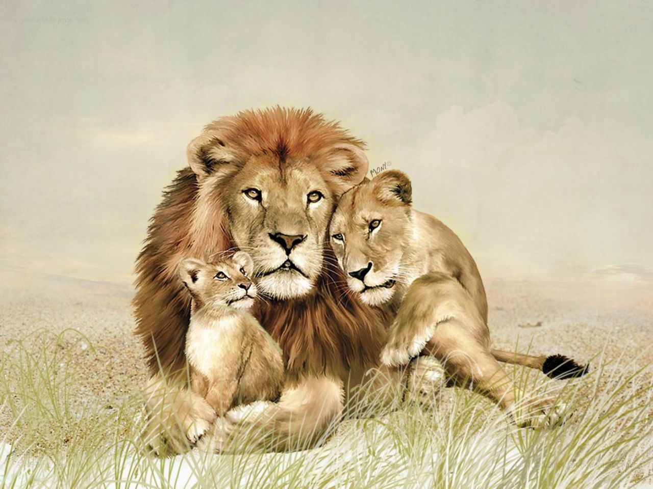 Lion Family Wallpaper