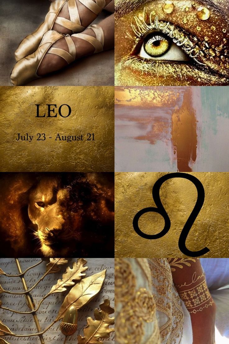 Leo Wallpaper  NawPic