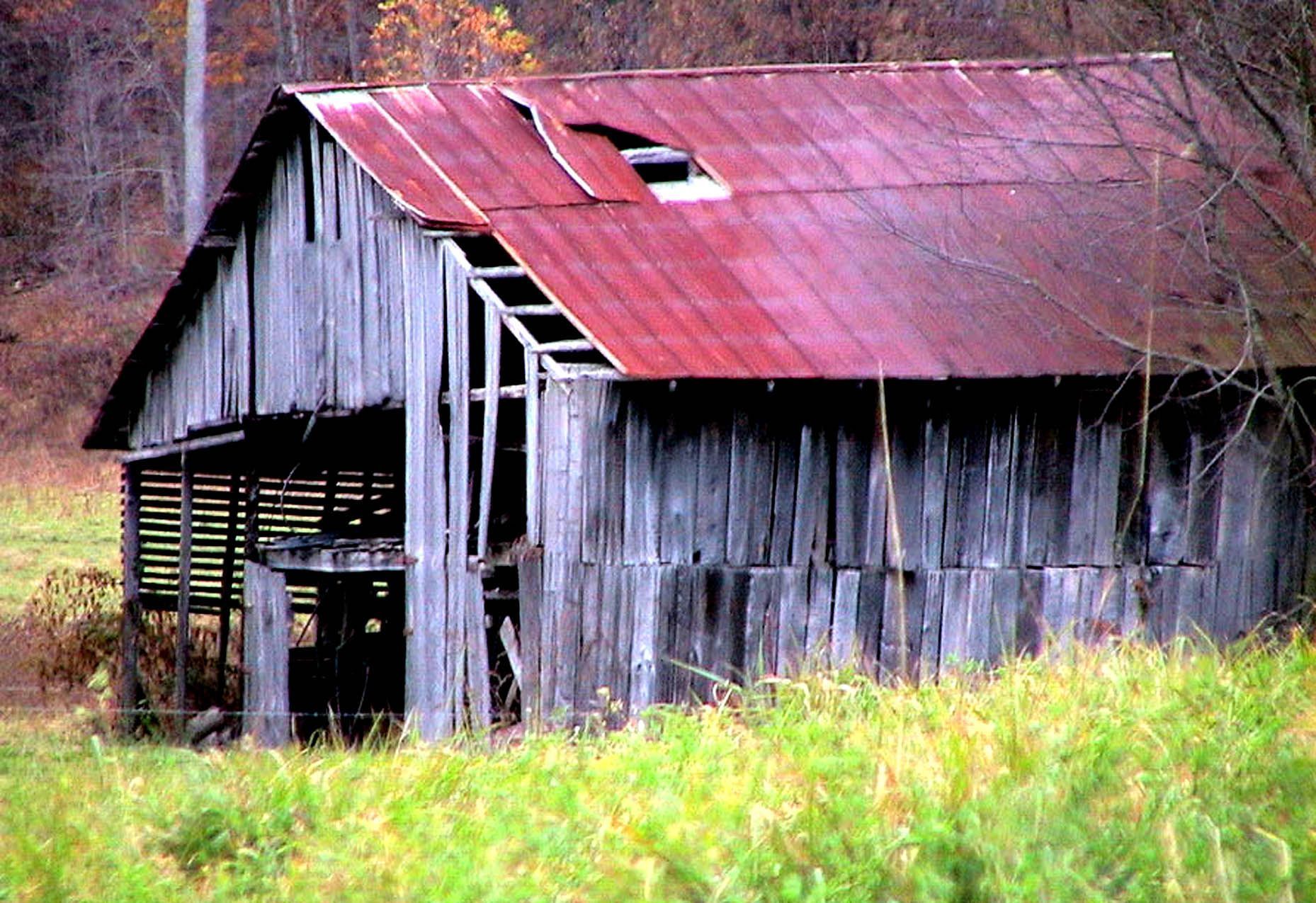 Free picture: abandoned, horse, barn, autumn, fall