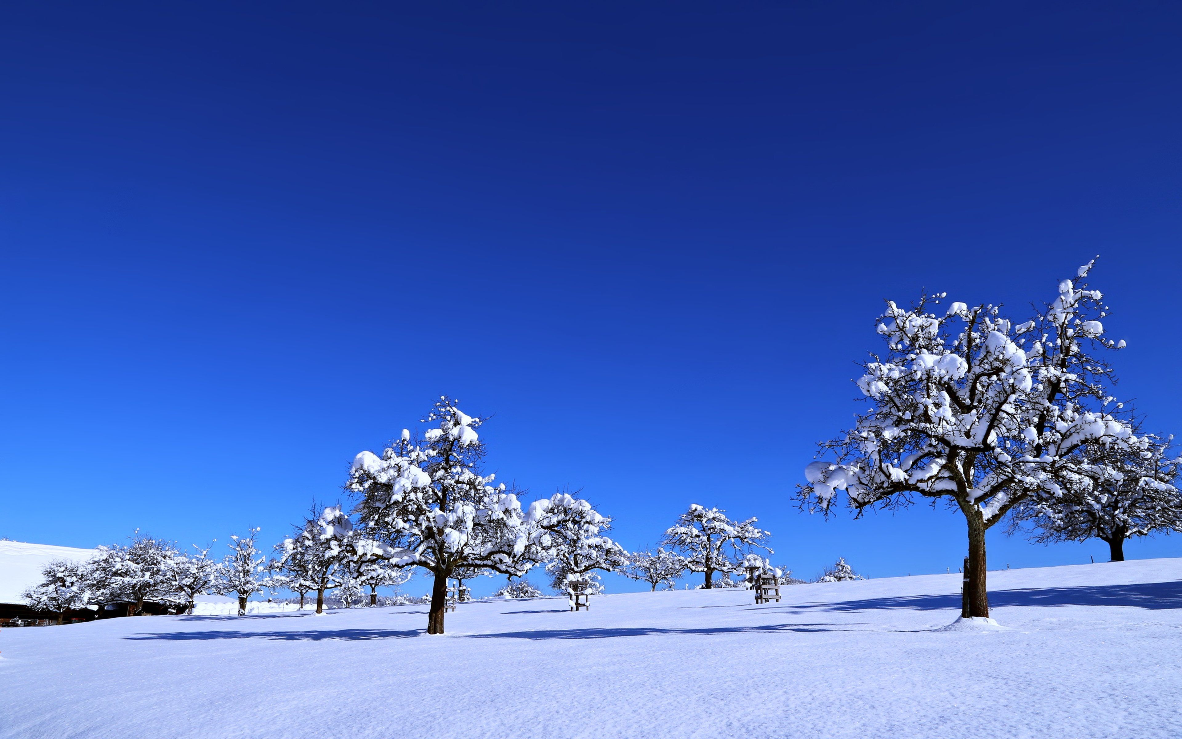 Landscapes nature earth snow sky sunny blue trees cold winter countryside wallpaperx2400