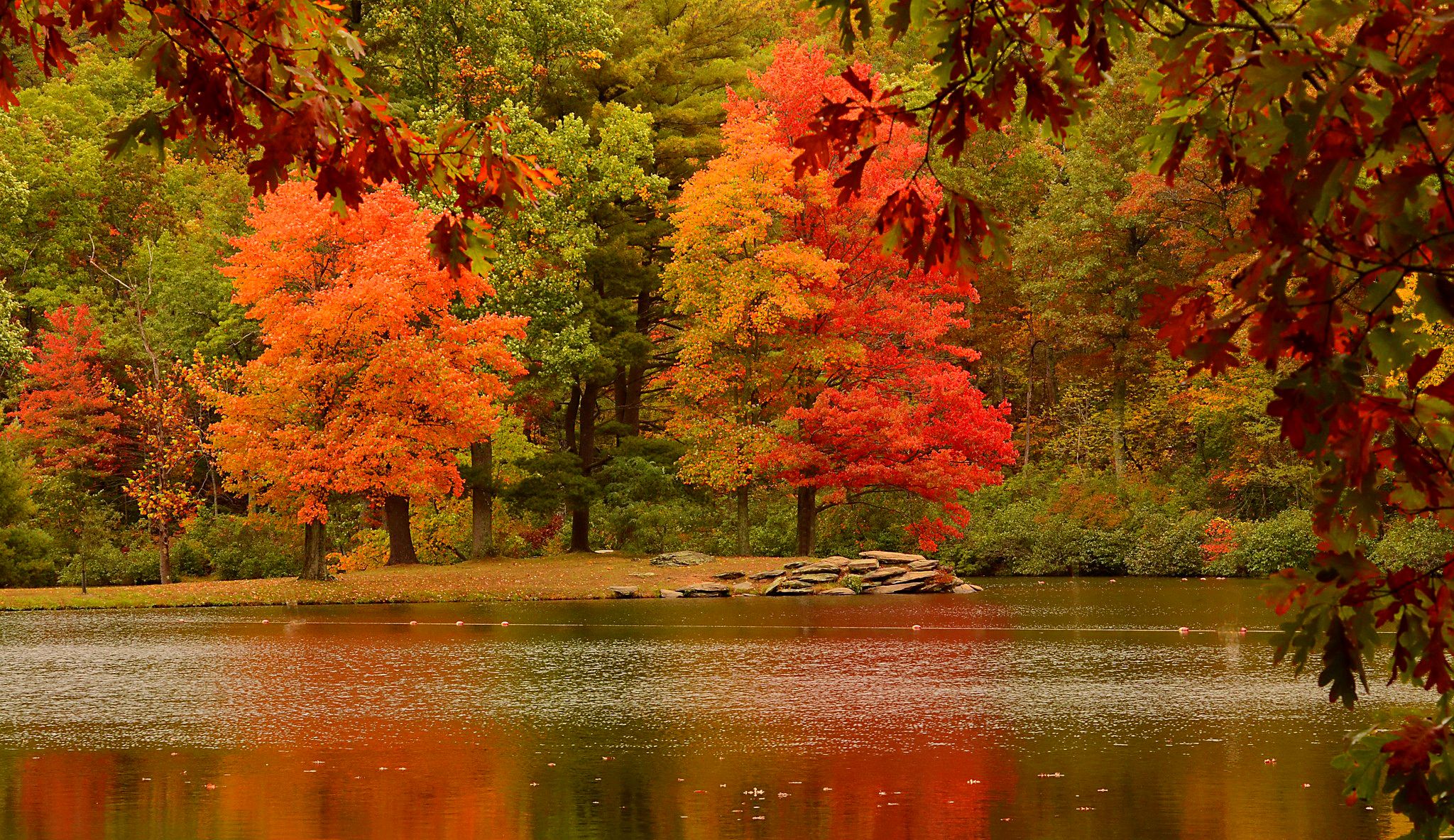 Free download Reflections Of Autumn Trees Nature Fall HD Wallpaper [2048x1183] for your Desktop, Mobile & Tablet. Explore Fall Trees Background. Autumn Trees Wallpaper, Fall Trees Wallpaper Desktop