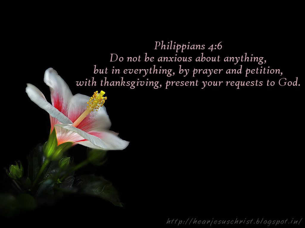 Philippians 46 KJV Mobile Phone Wallpaper  Be careful for nothing but in  every thing by