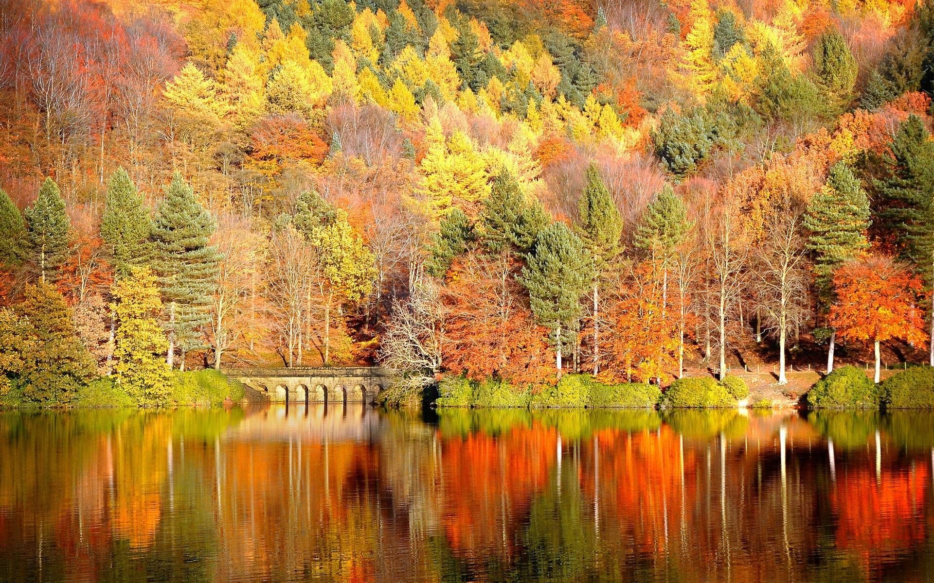 Fall Colors Reflection Wallpaper FREE Picture