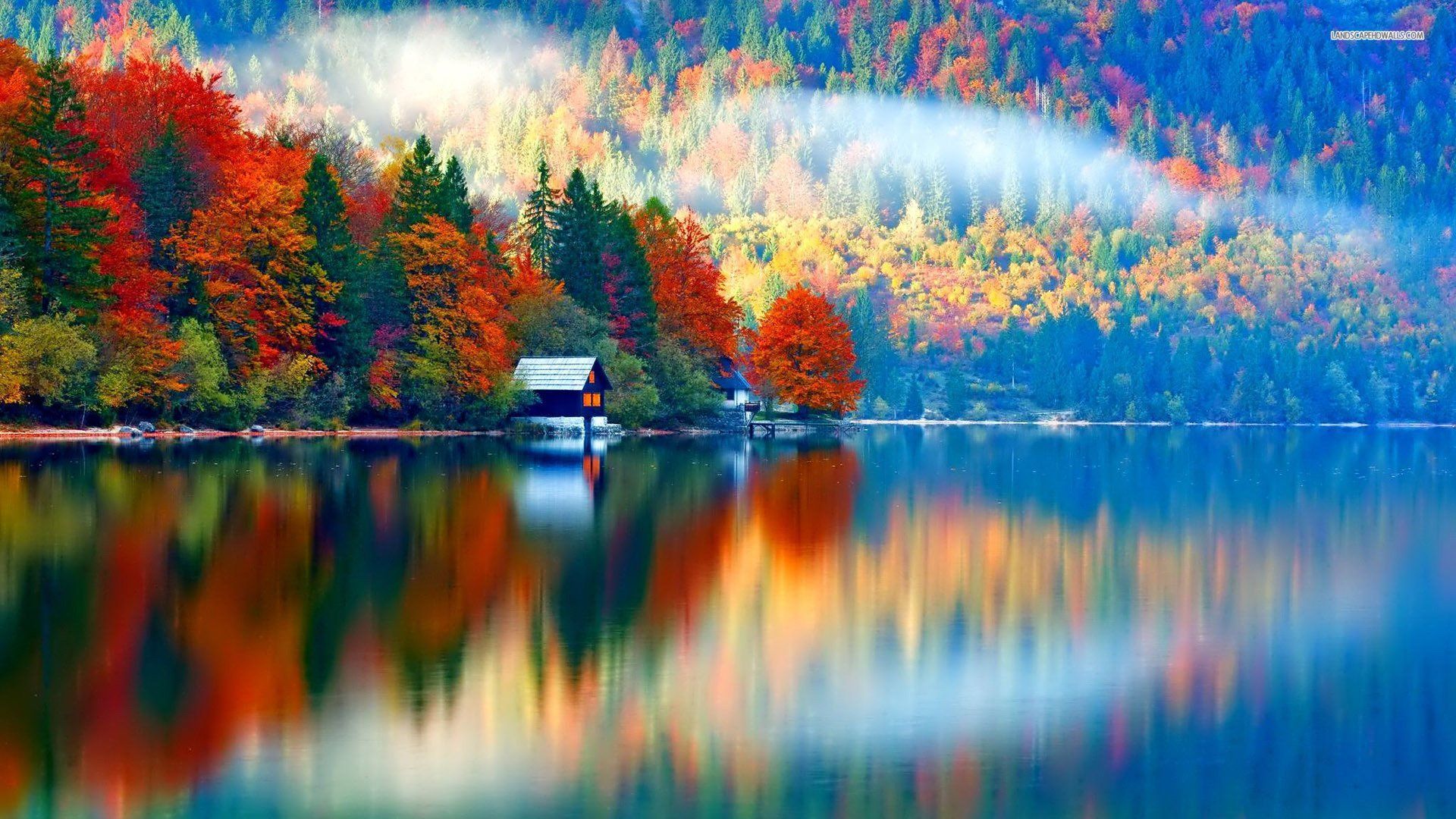 Fall Colors Reflection Wallpaper FREE Picture