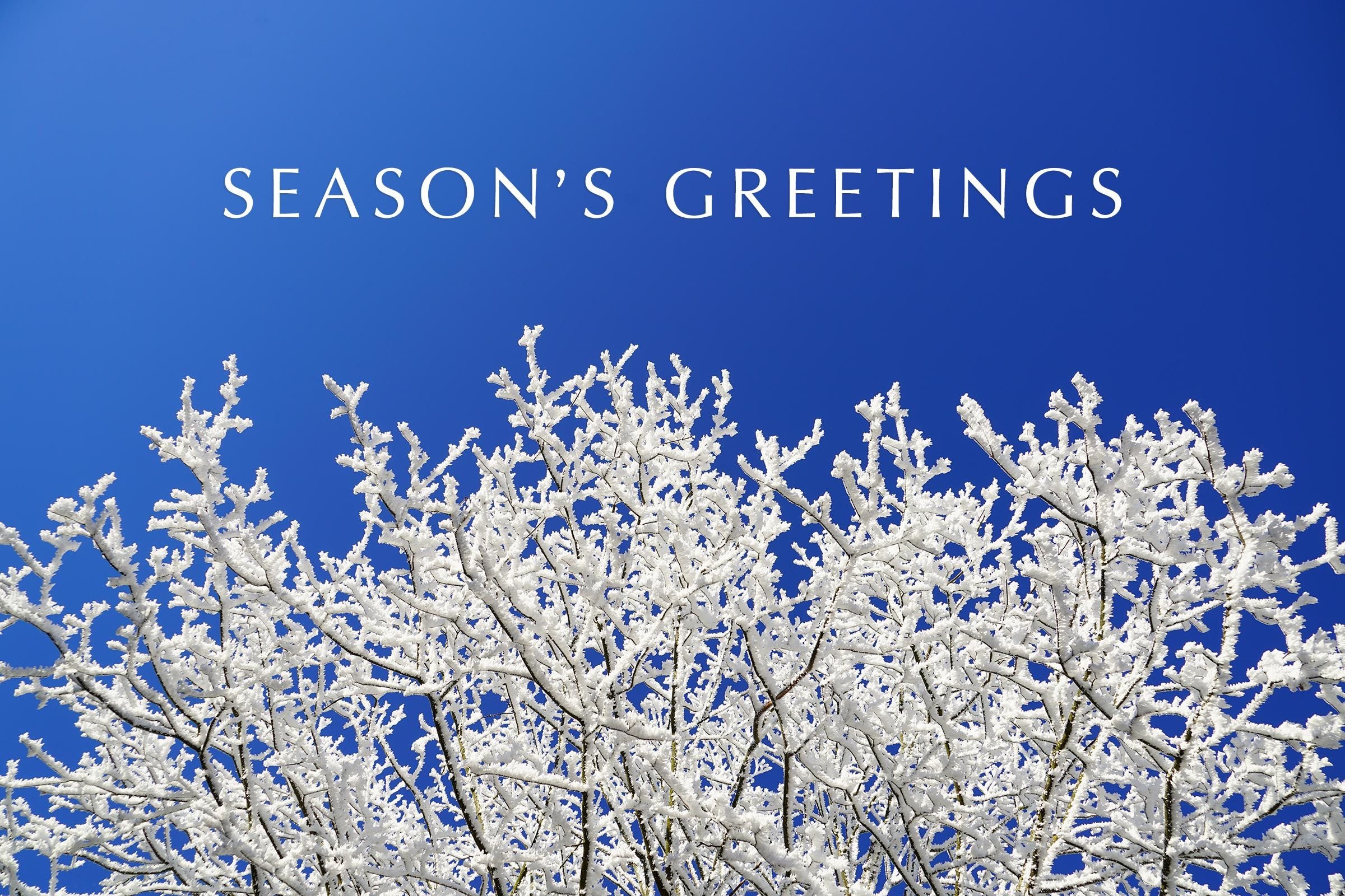 15 Season's Greetings Cards Stock Image, HD Wallpapers & Winter Pictures For 2020