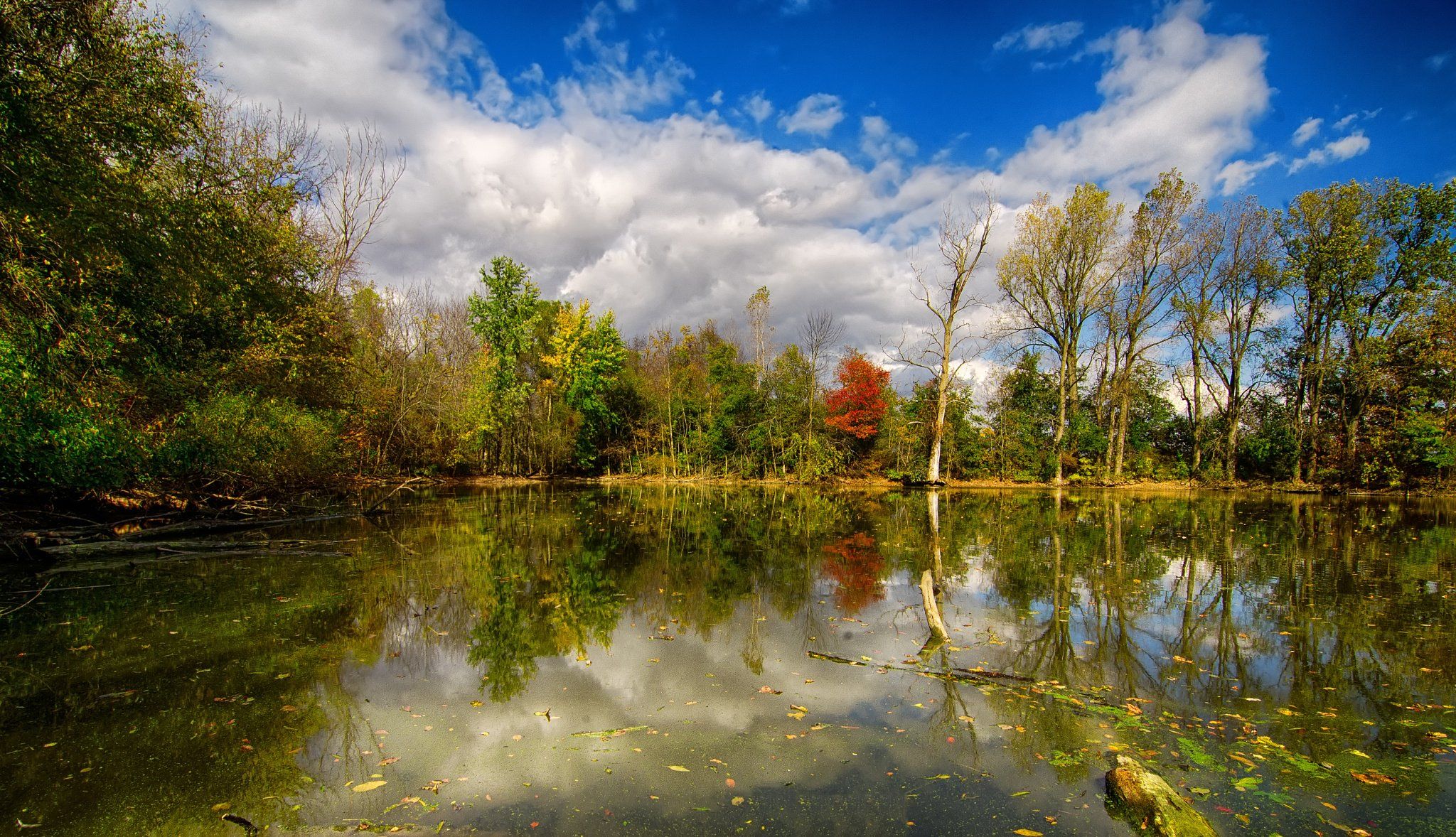 of Autumn 4K wallpaper for your desktop or mobile screen