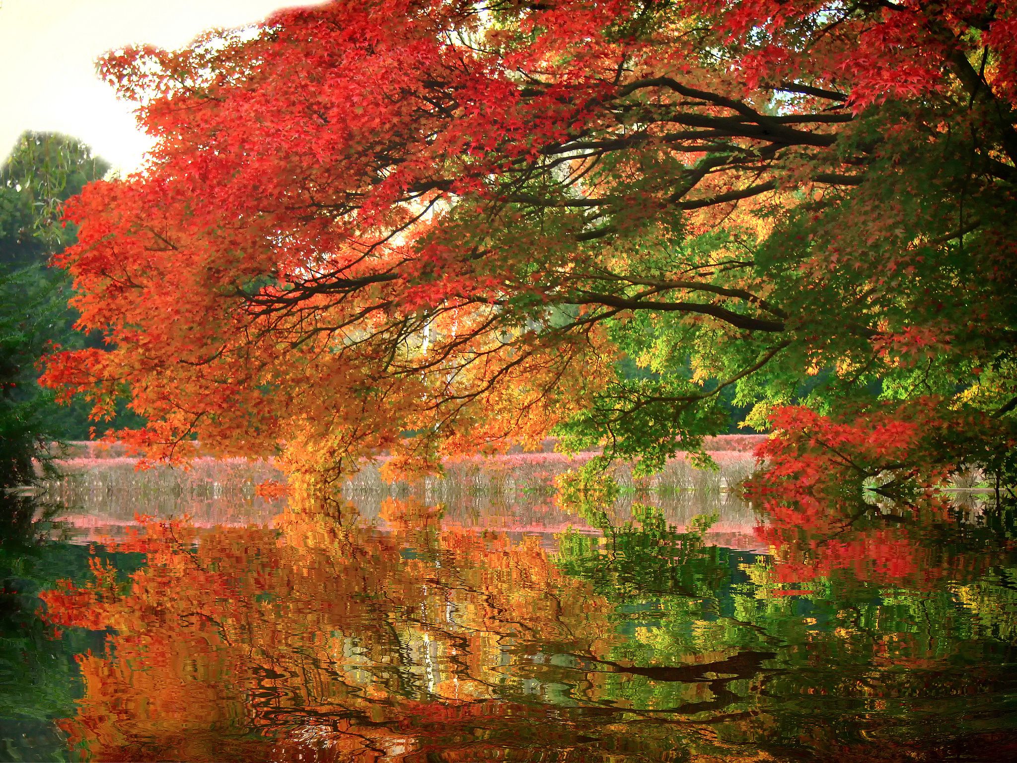 Reflections Of Autumn Wallpapers - Wallpaper Cave