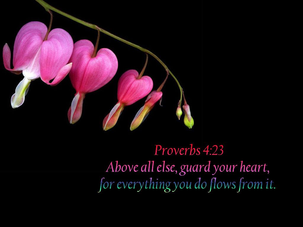 Bible Verses Wallpaper Proverbs