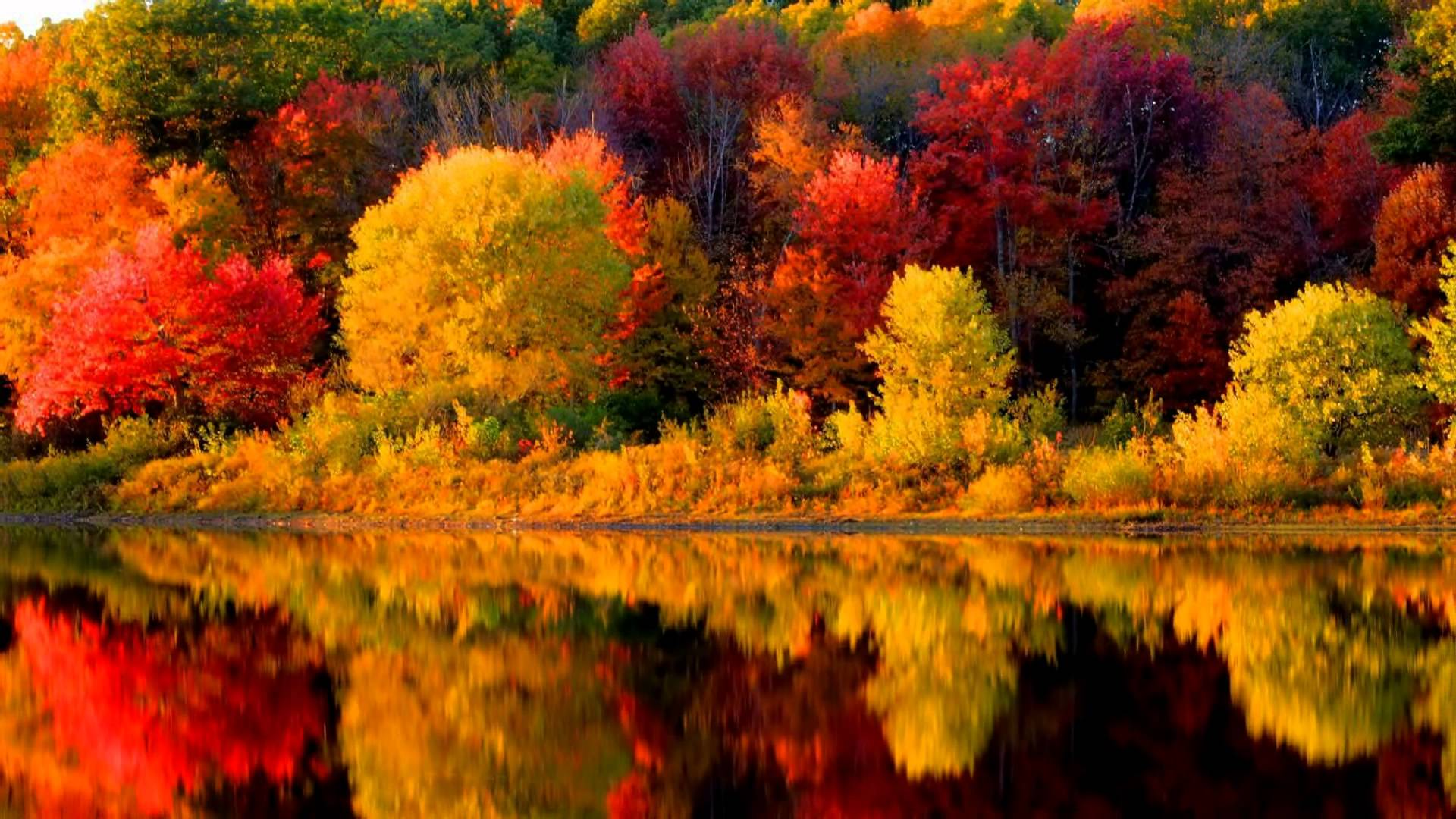Fall Colors Reflection Wallpaper FREE Picture