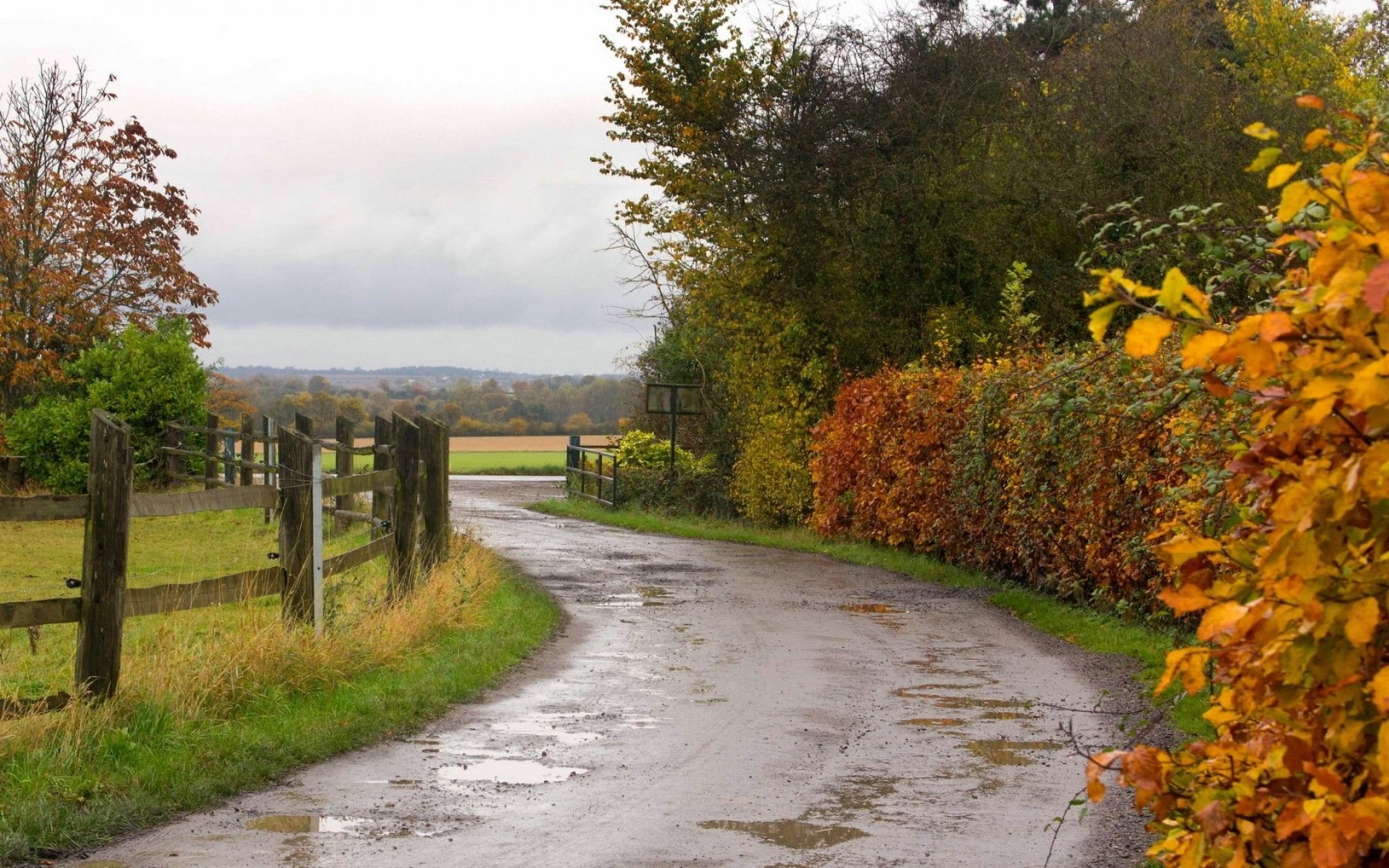 Roads autumn fall rain wet water reflection fence landscapes trees wallpaperx1200