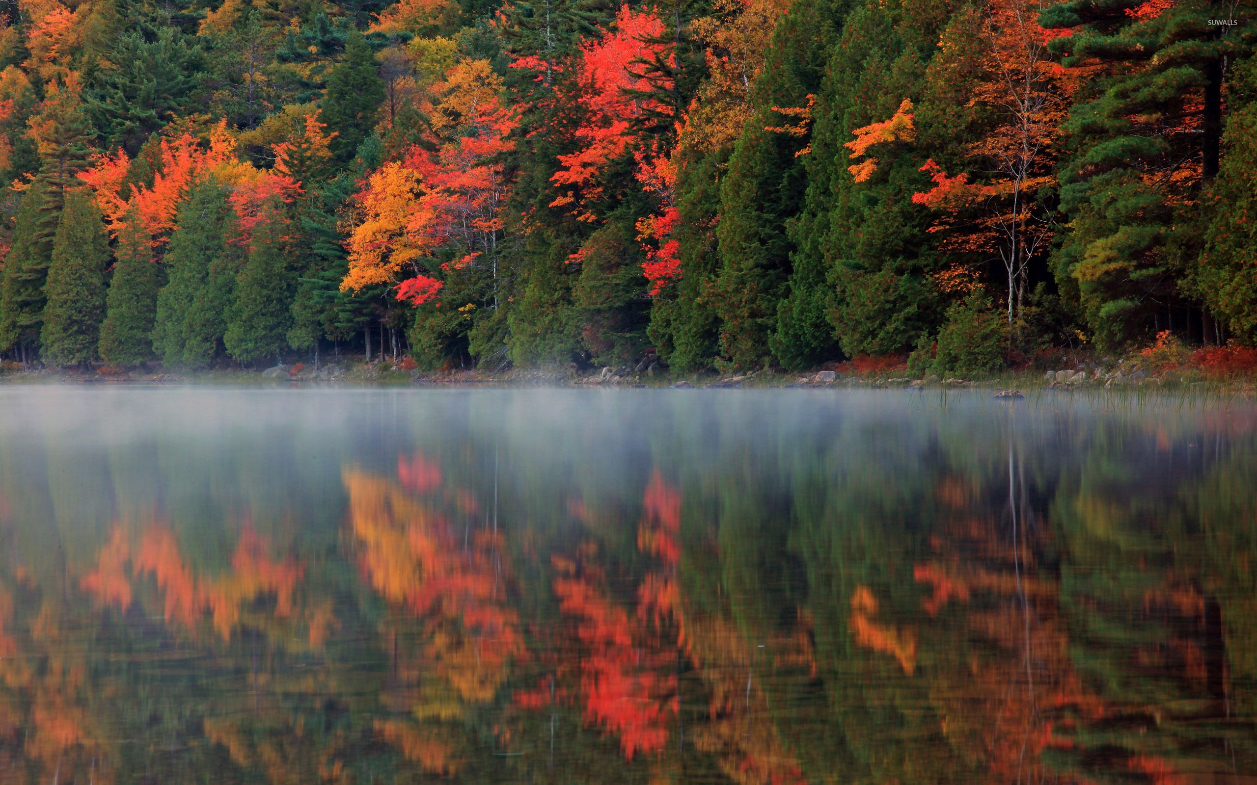 Lake reflection of the forest shades of autumn wallpaper wallpaper