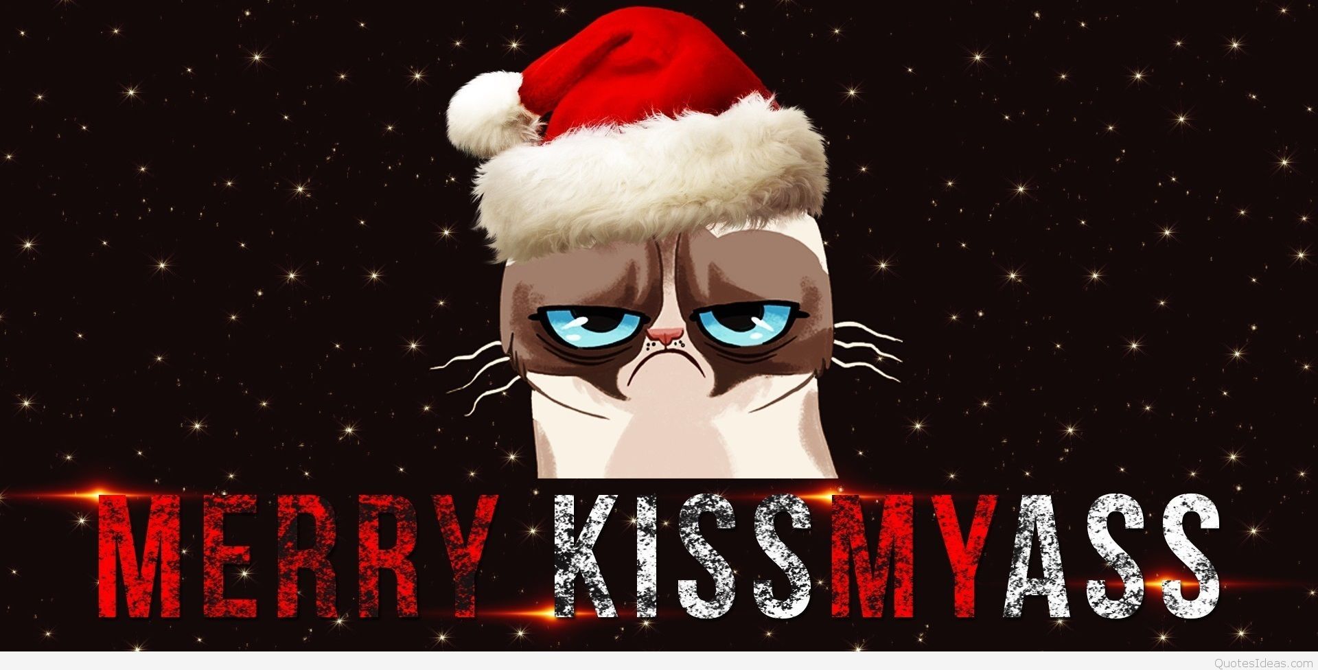 Funny Christmas Grumpy Cat Quotes, Messages 2015