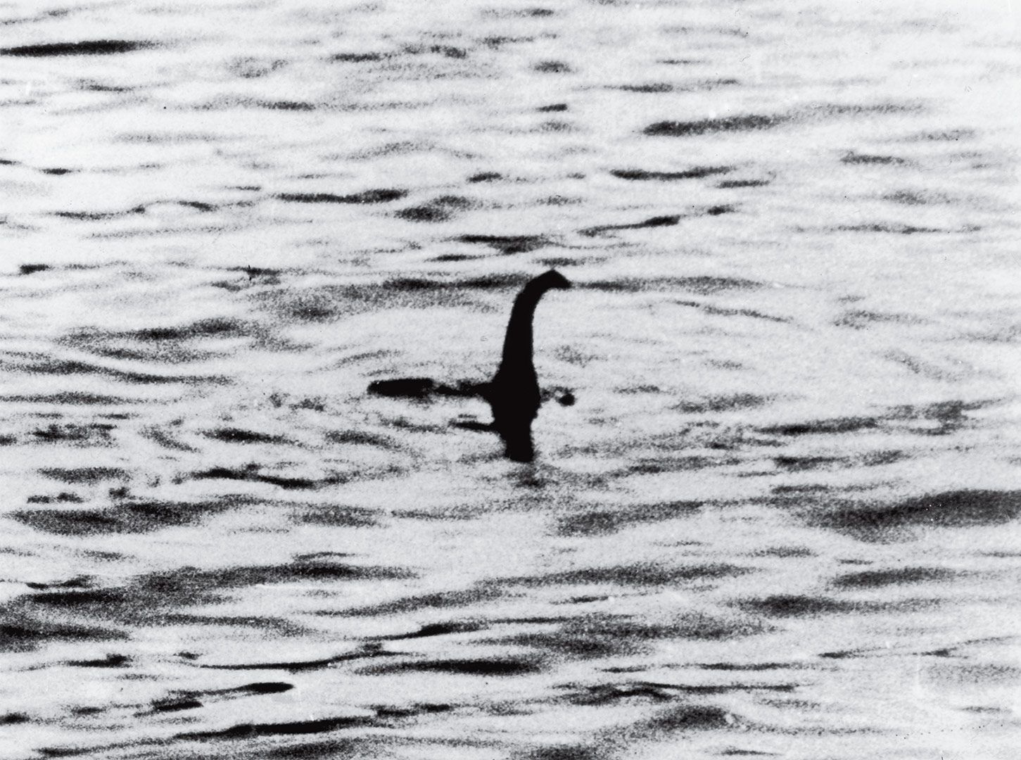 The Loch Ness Monster Photographs. The Most Influential Image of All Time