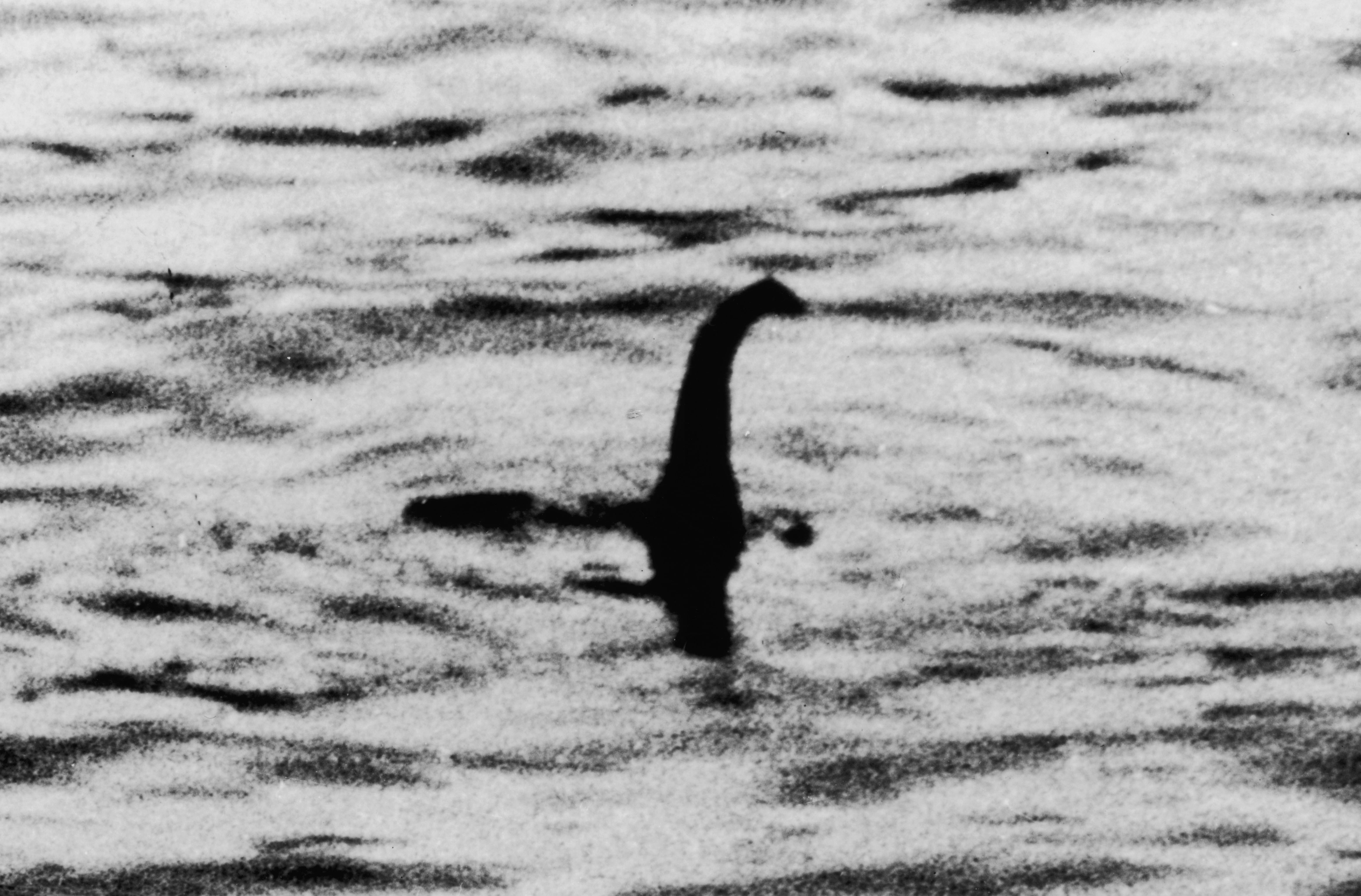 Is the Loch Ness Monster real? New photo fuels speculation