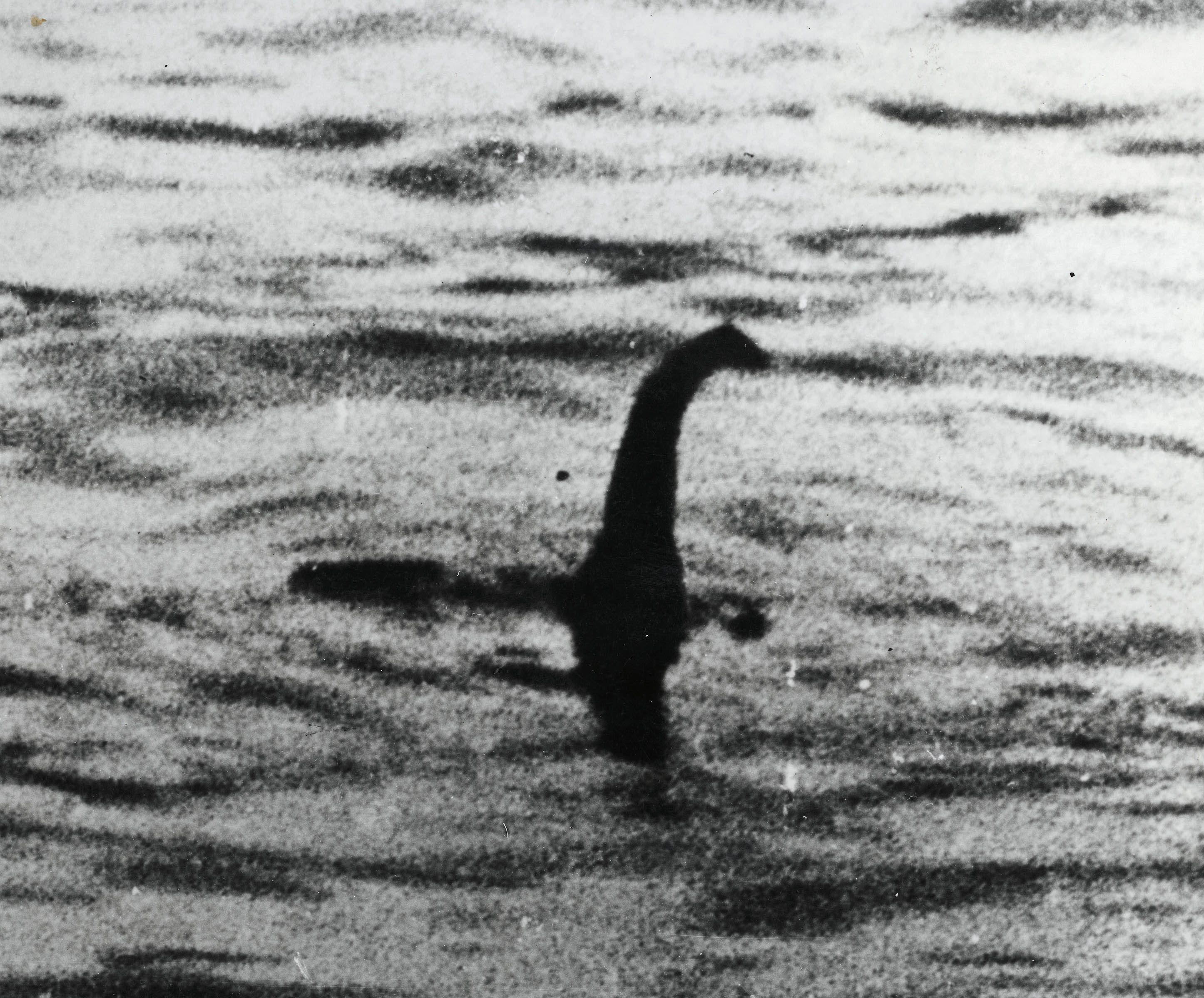 Is the Loch Ness Monster real? Nessie photo, sightings, theories and myths