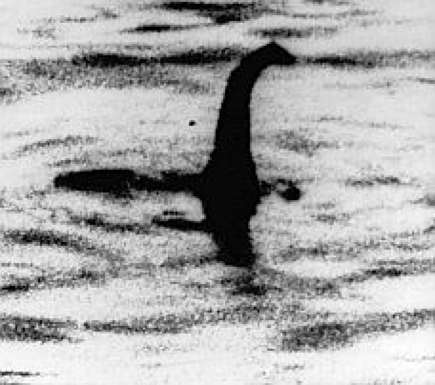 Loch Ness Monster real in biology textbook Washington Post