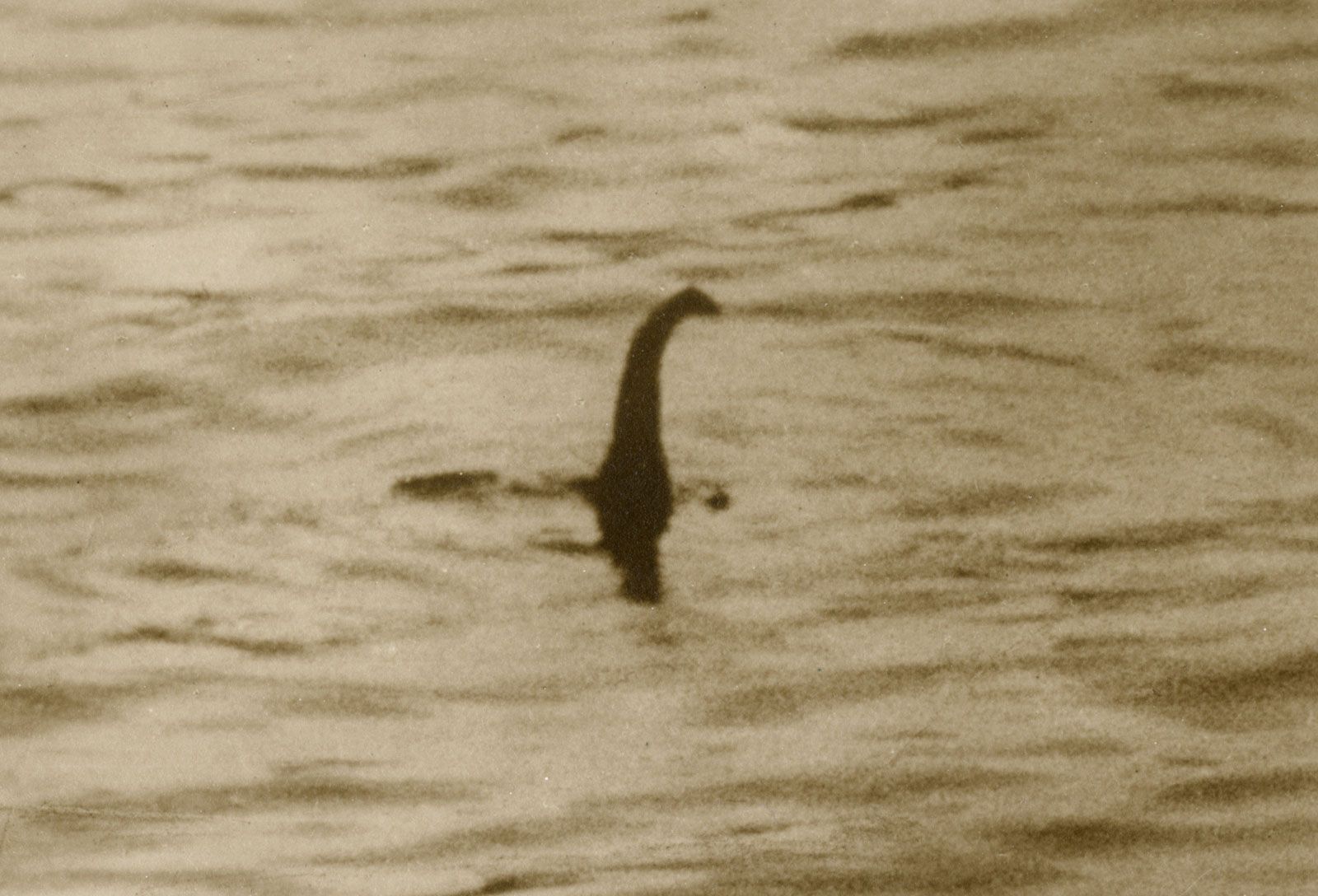 Loch Ness monster. History, Sightings, & Facts
