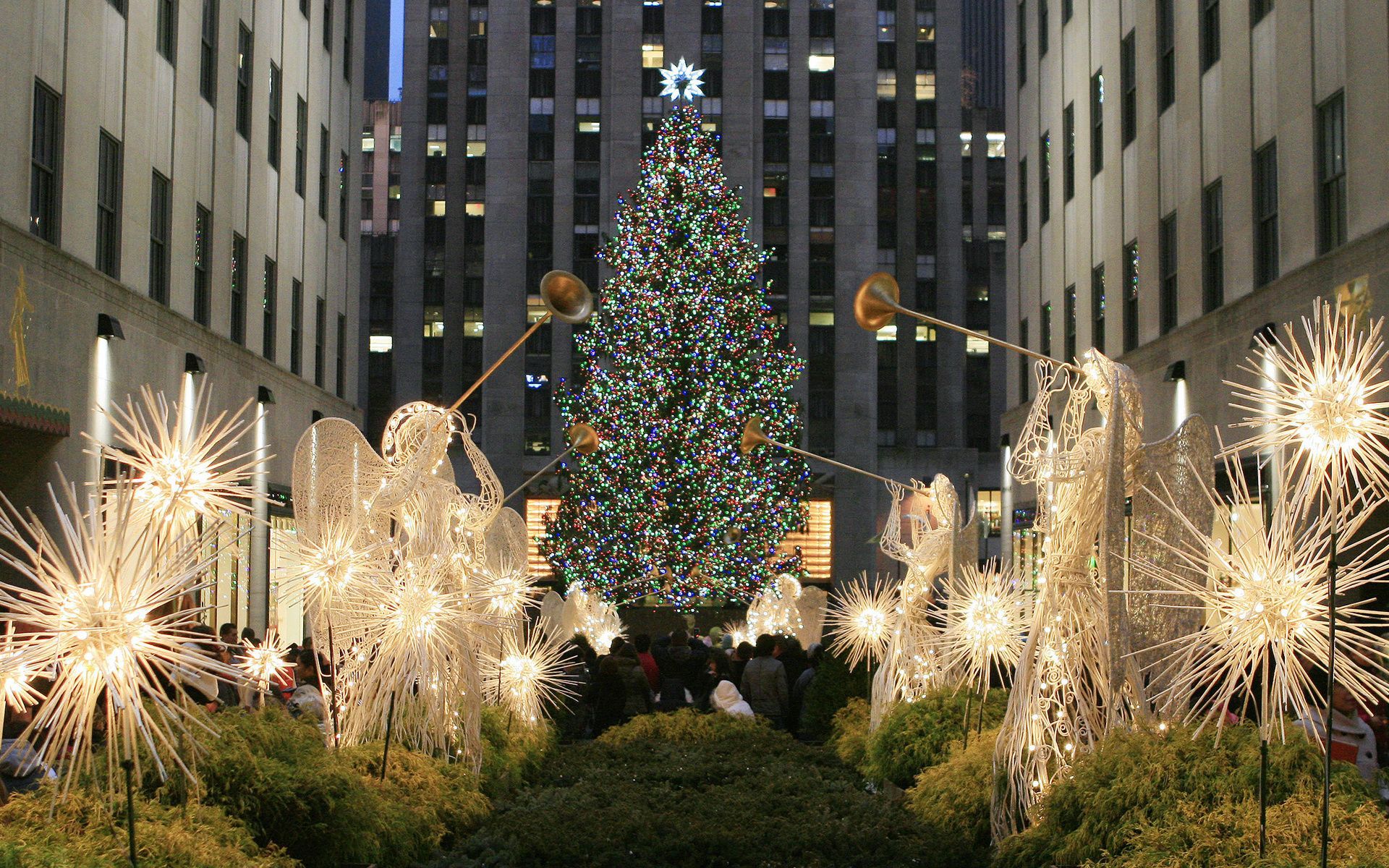 Tại trung tâm Times Square, cây thông tuyết rực rỡ được trang trí tuyệt đẹp bằng những bóng đèn led sáng ngời. Hãy được đắm chìm trong khung cảnh này với những hình nền cây thông Giáng sinh Times Square từ Wallpaper Cave.