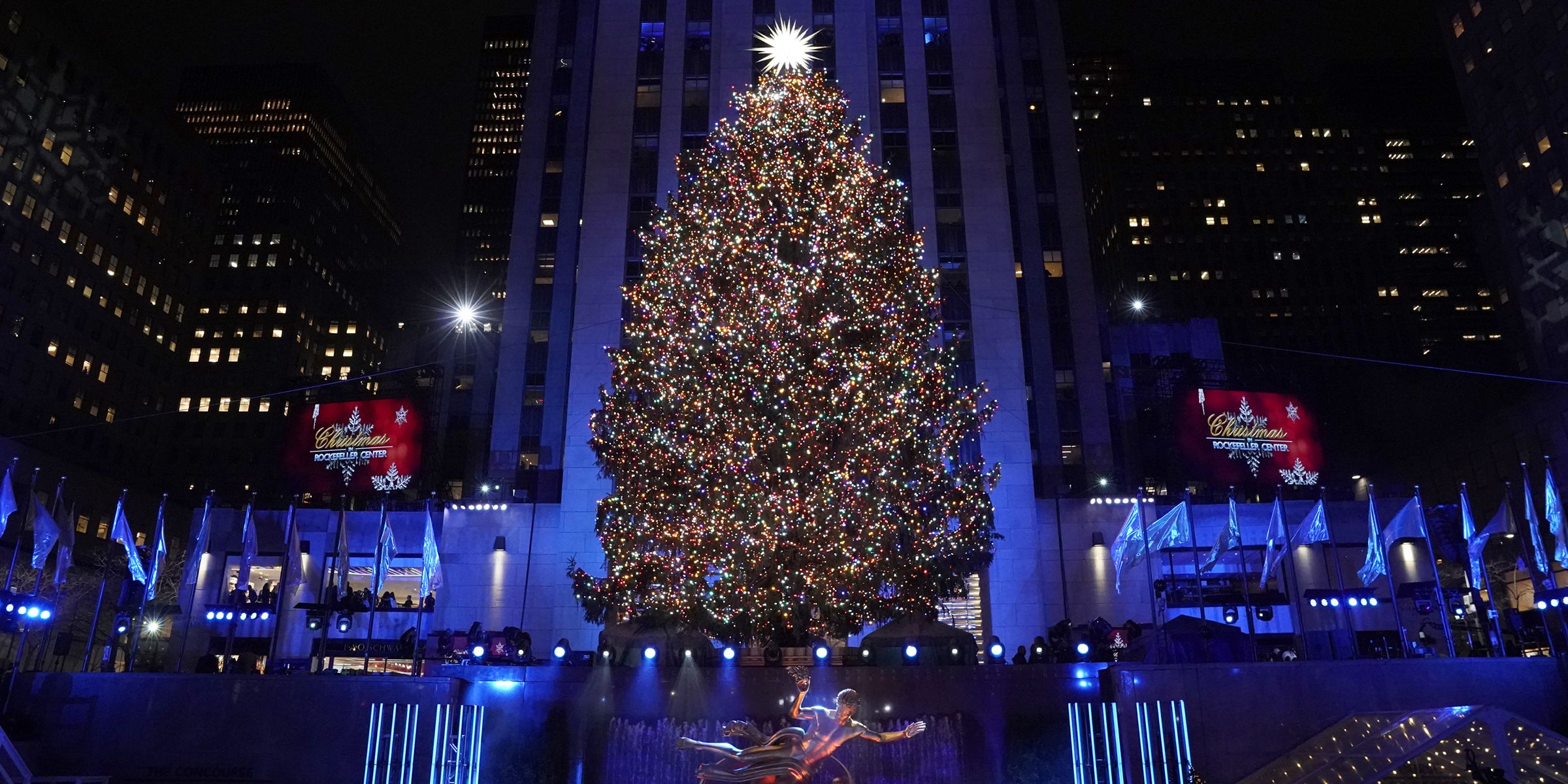 The 2019 Rockefeller Center Christmas tree has been chosen! Here's the 1st look