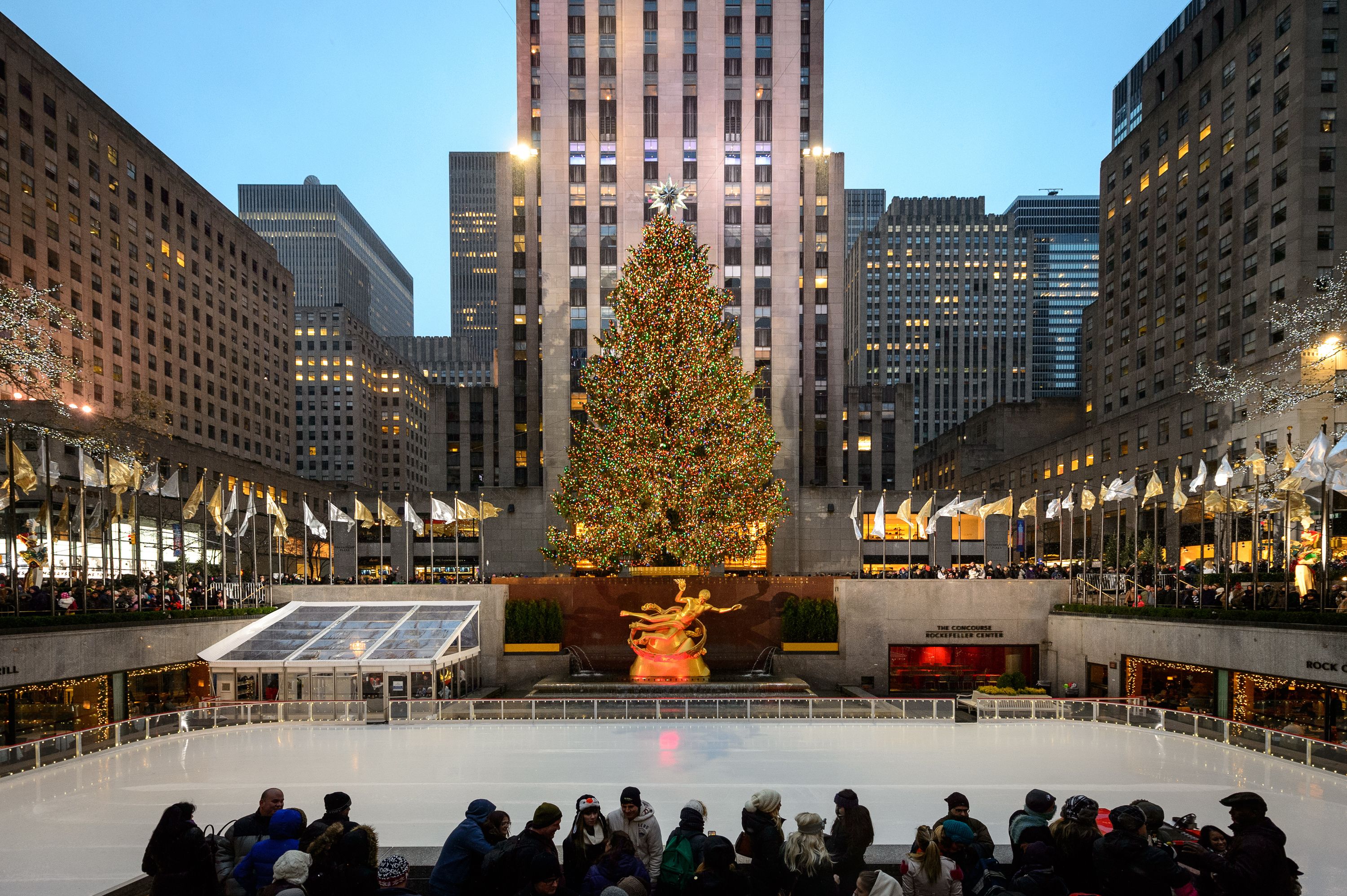 Times Square Christmas Tree Wallpapers - Wallpaper Cave