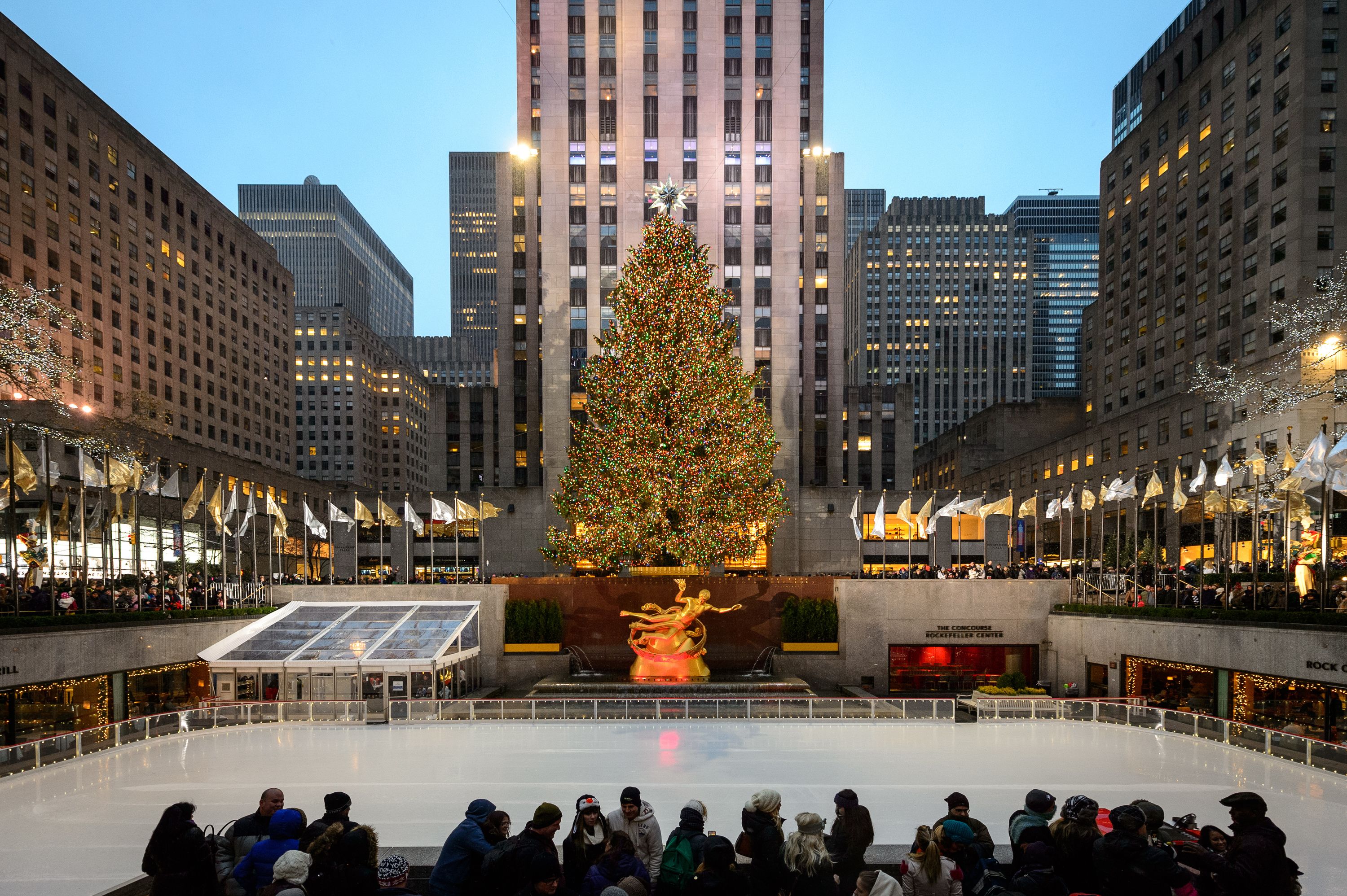 Best Picture of Christmas in NYC Including Christmas lights