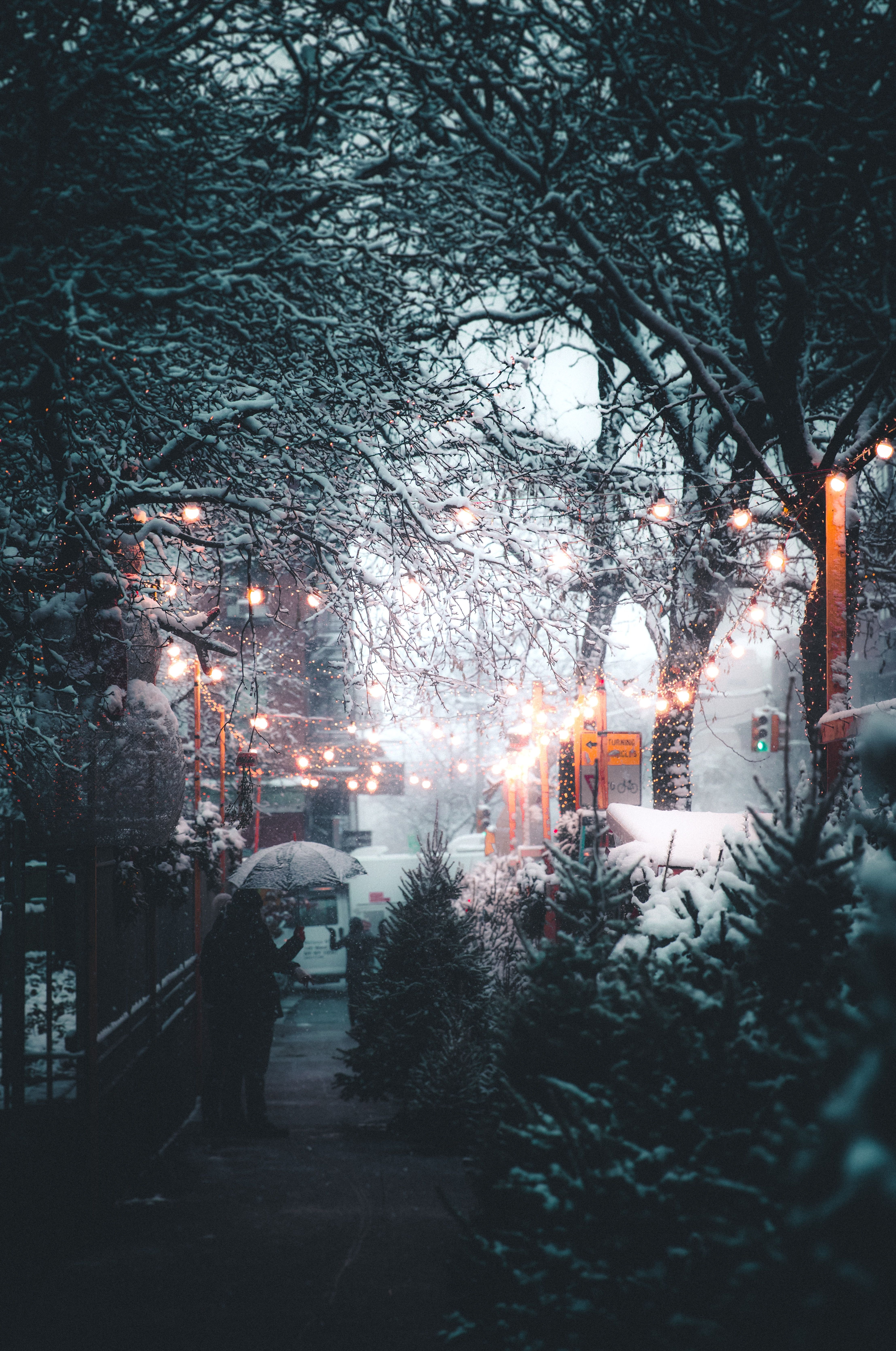 winter #snow #christmas #person #holding #umbrella person holding umbrella near streetl. Wallpaper iphone christmas, iPhone wallpaper winter, Winter wallpaper