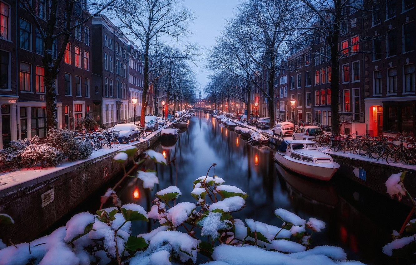 Wallpaper winter, light, snow, lights, morning, Amsterdam, channel image for desktop, section город