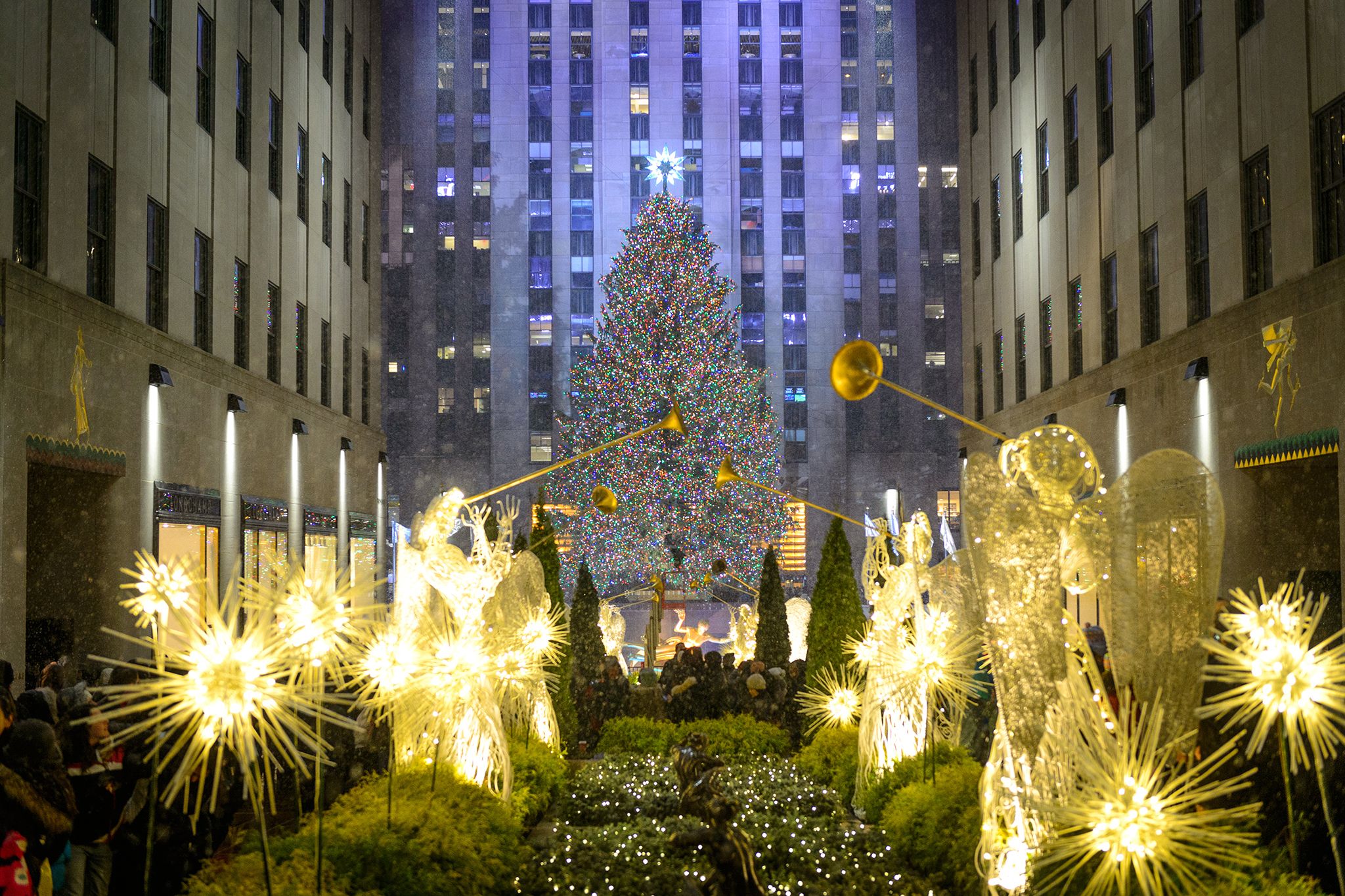Best Picture of Christmas in NYC Including Christmas lights