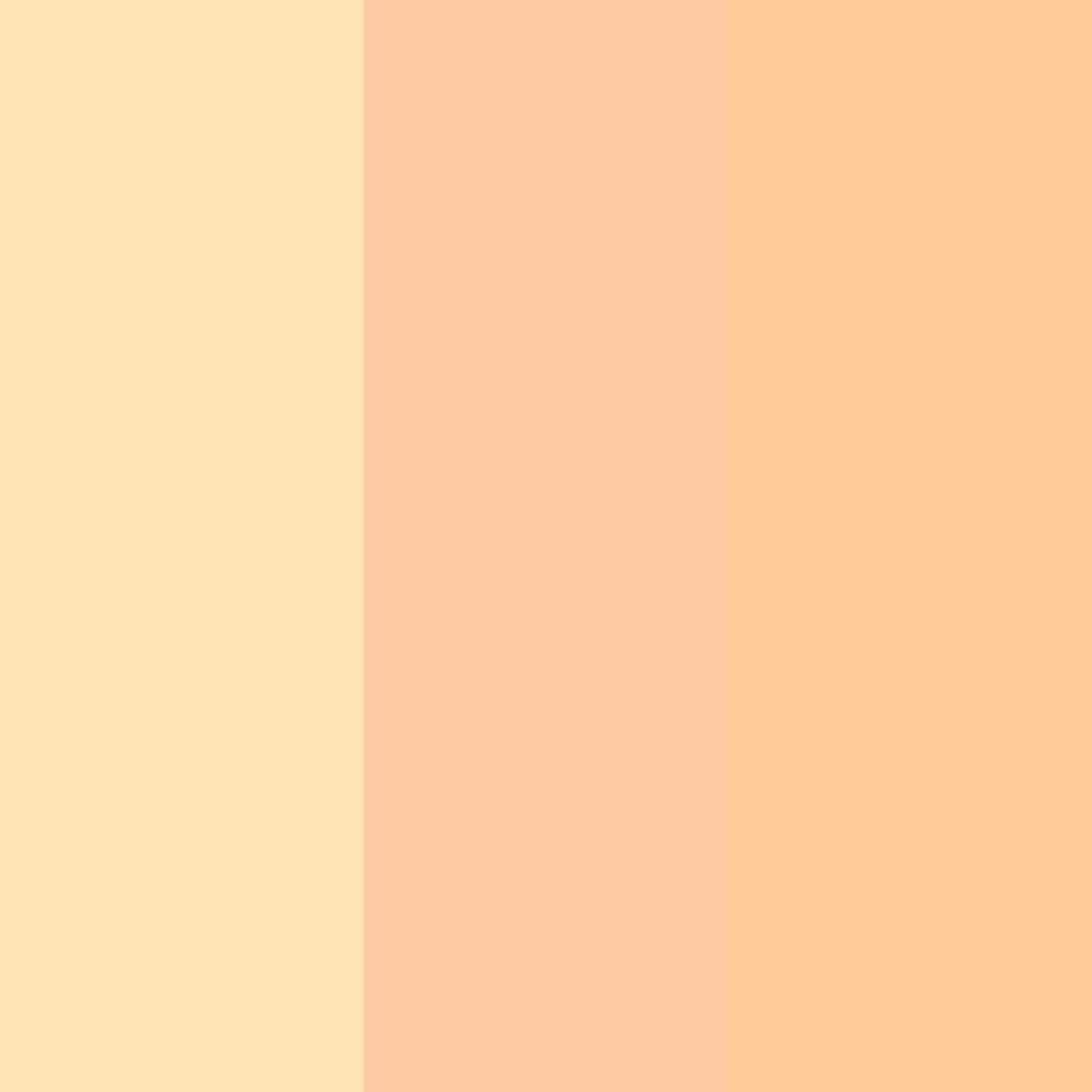 Free download 1024x1024 Peach Peach Crayola and Peach orange Three Color Backgrounds [1024x1024] for your Desktop, Mobile & Tablet