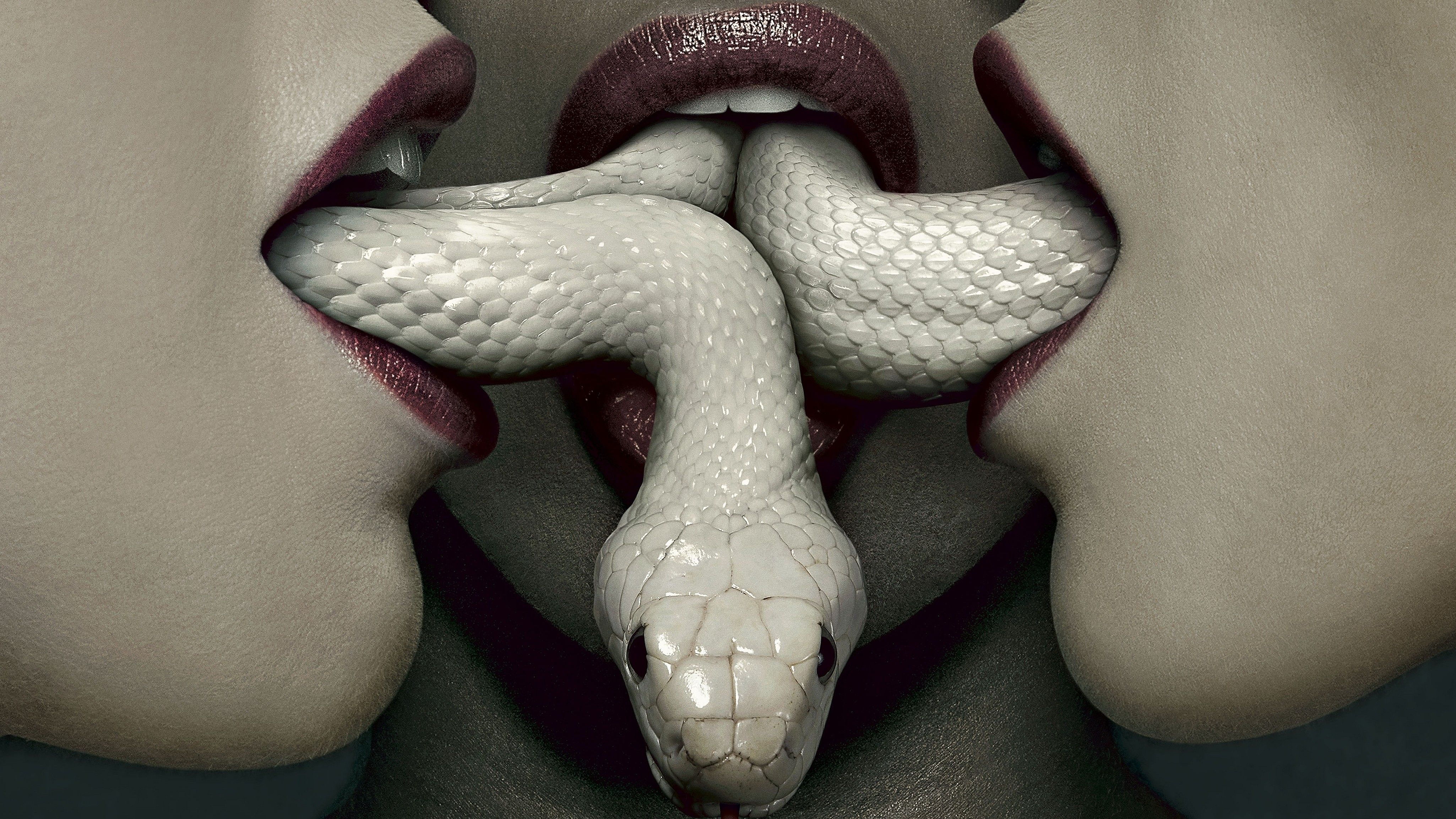 #snake, #mouths, #albino, #American Horror Story, #women, wallpaper