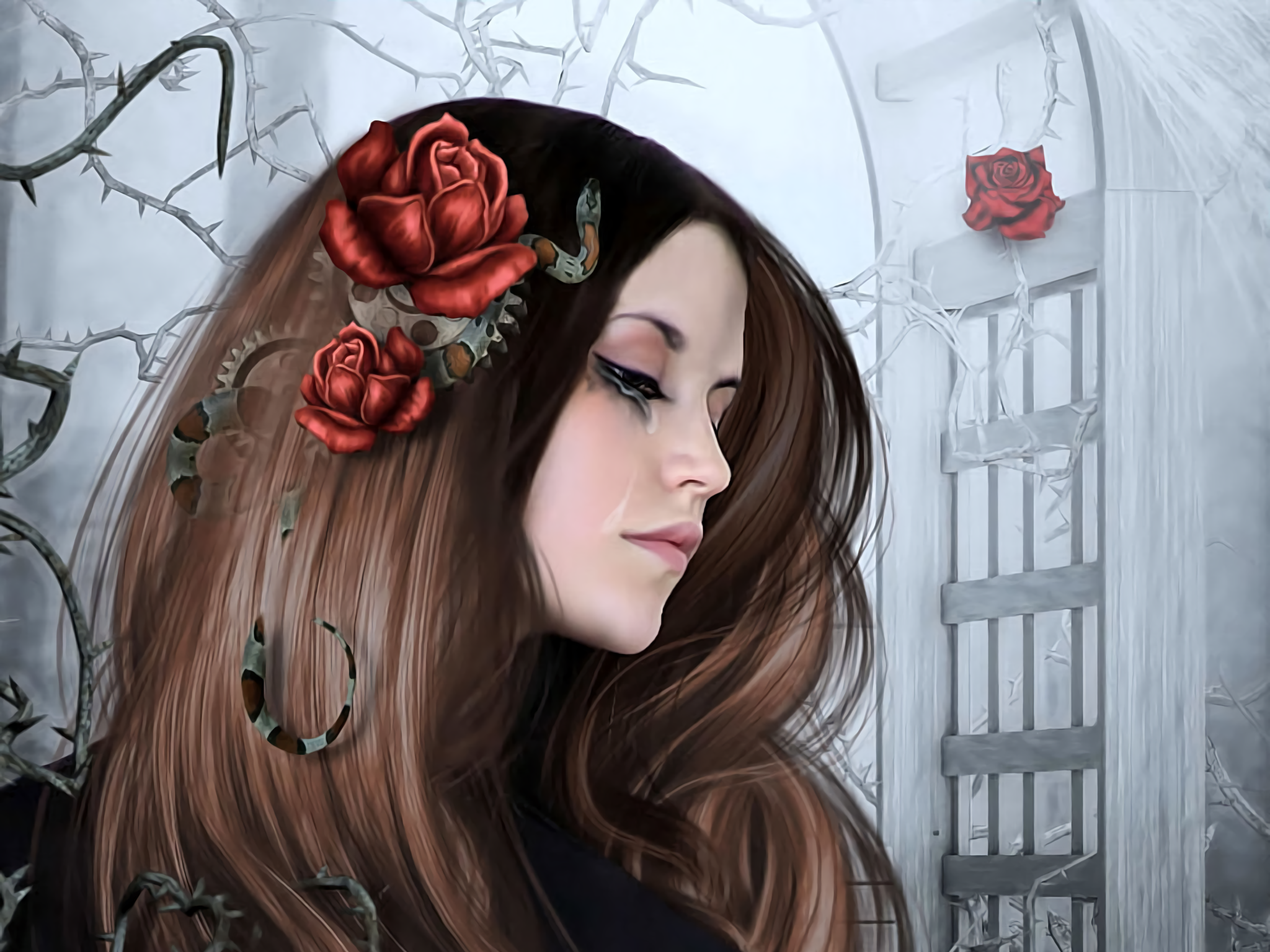 Fantasy Hair Rose Snake Tears Woman Wallpaper:2048x1536