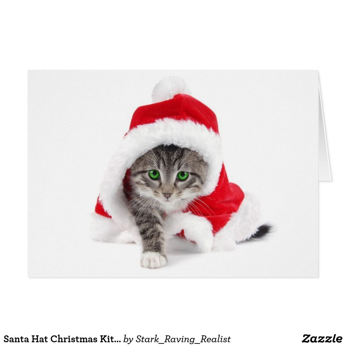 Santa Hat Christmas Kitten Holiday Card. Zazzle.com. Christmas kitten, Christmas animals, Christmas cats