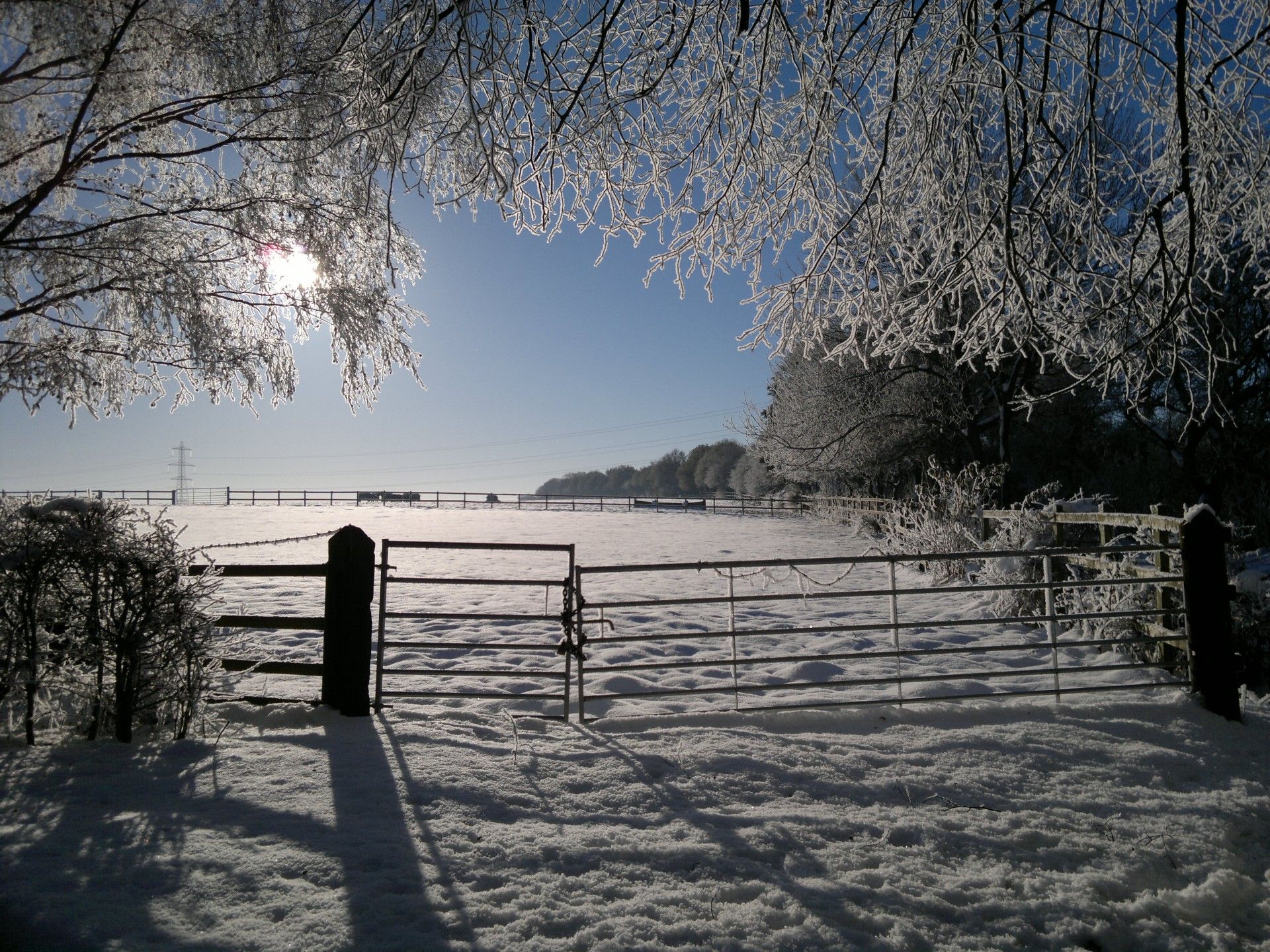 Early Morning Snow Scene Free Domain Picture