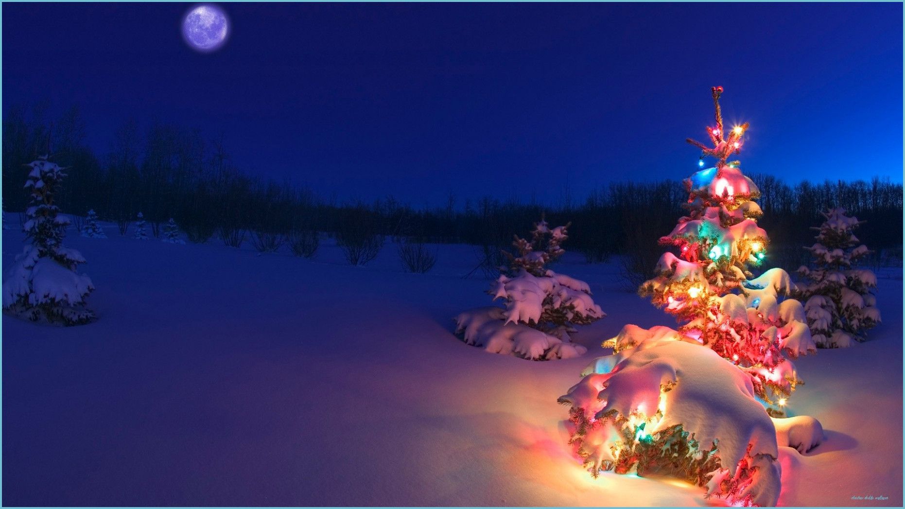 Ugly Truth About Christmas Desktop Wallpaper