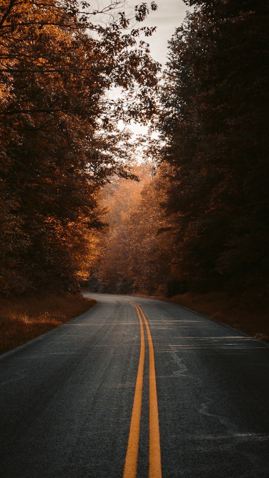 Autumn road #wallpaper #iphone #android #background #followme. Nature photography, Nature, Fall wallpaper