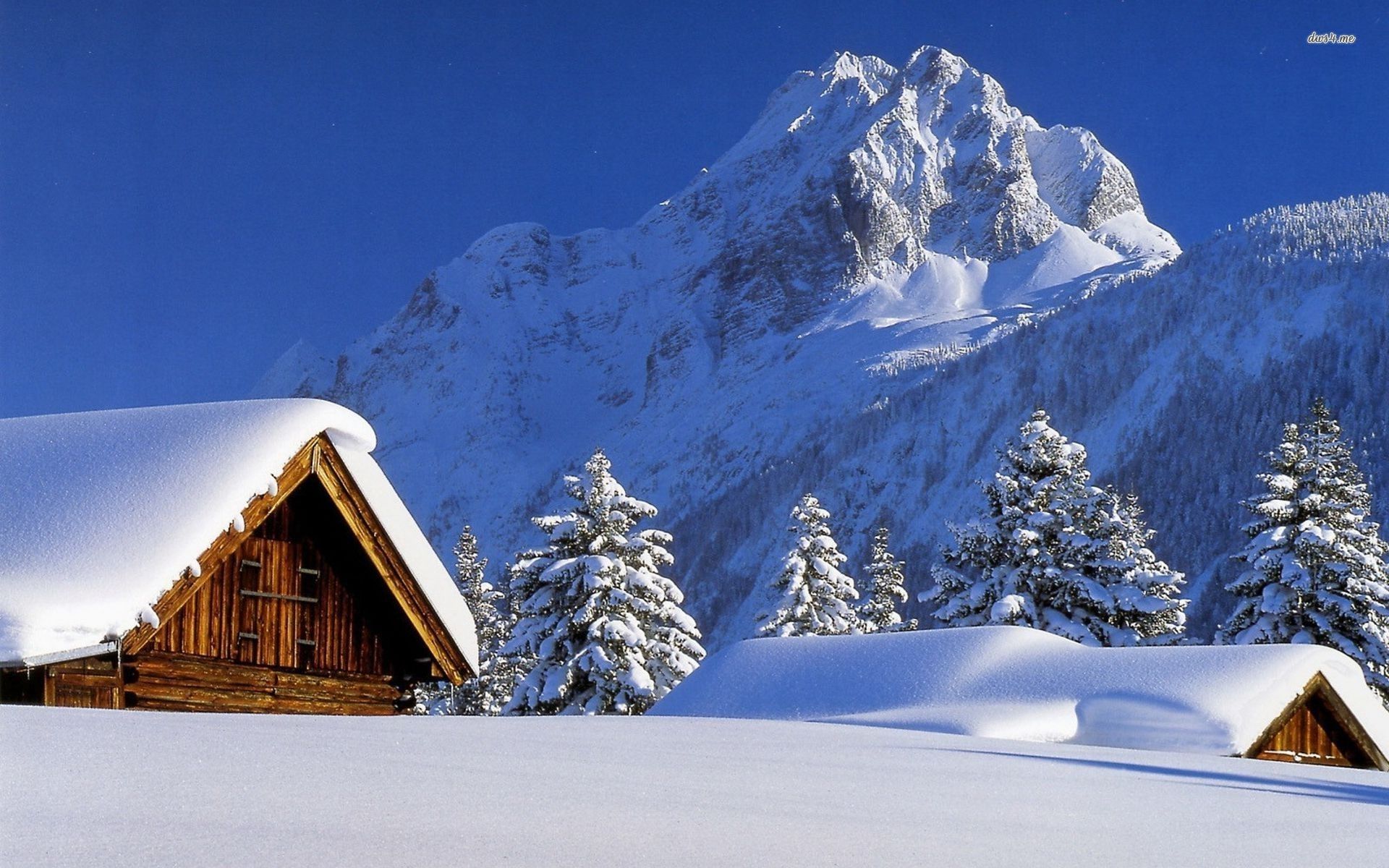 Snowed In Houses Wallpaper Background With House Wallpaper & Background Download