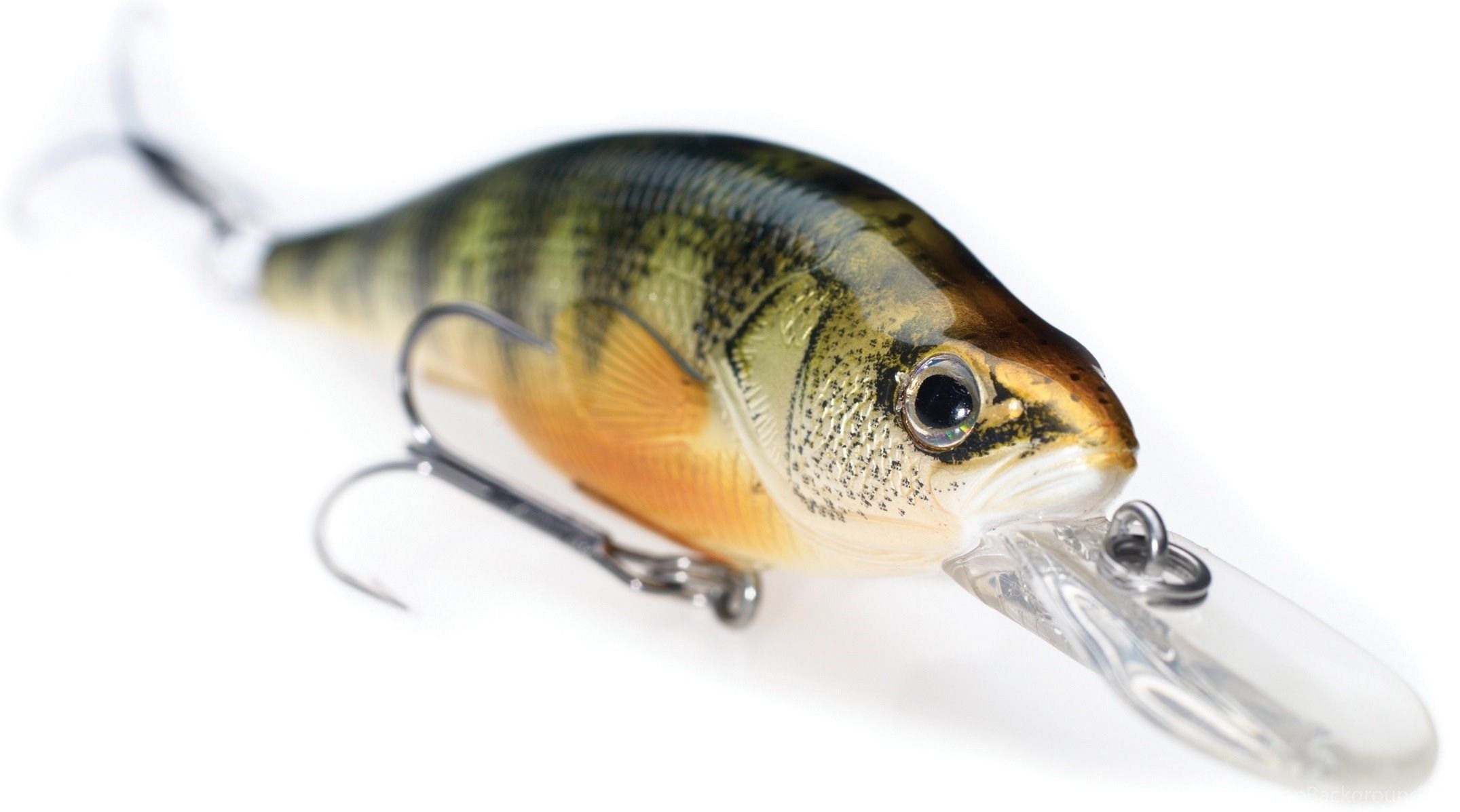 Walleye Wallpapers - Wallpaper Cave