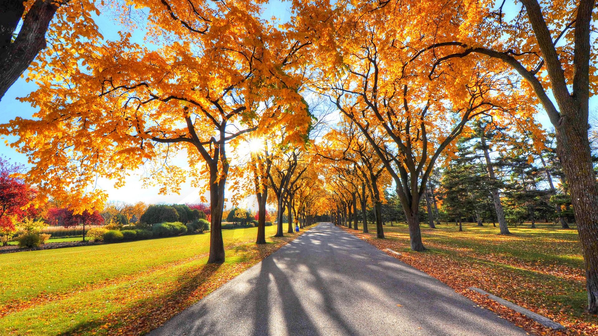 Autumn Background. HD Windows Wallpaper