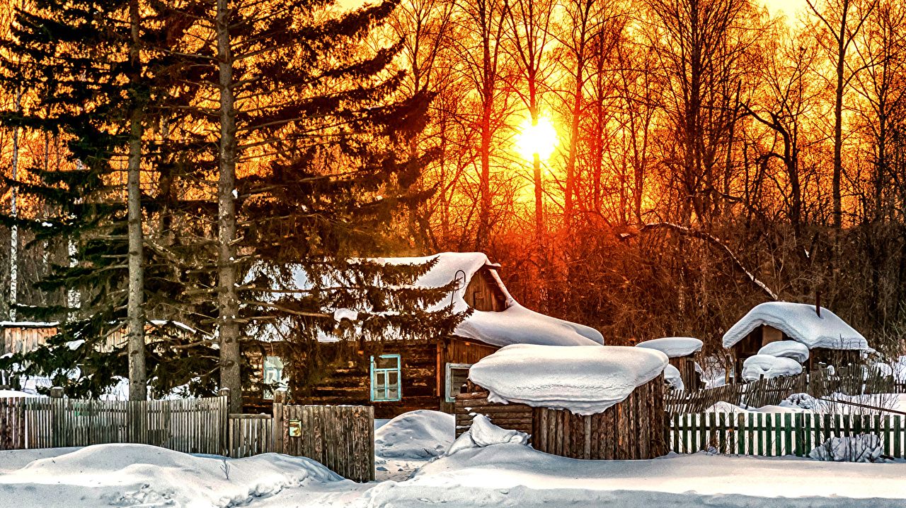 image Rays of light Nature Winter Snow Fence Trees Houses Seasons