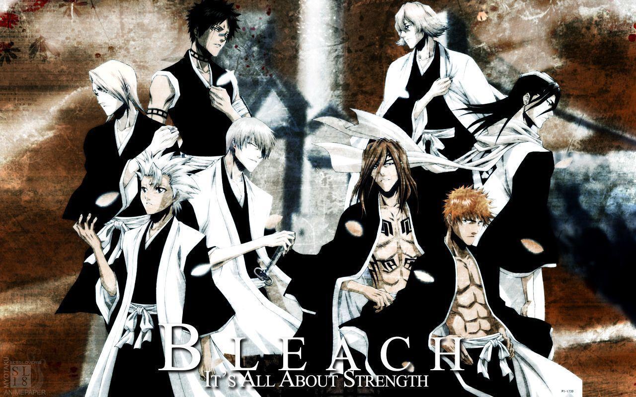Anime Wallpaper Collection Gallery: Bleach Squad Captain 13 Wallpaper