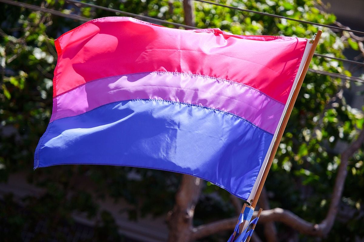 Bisexual Pride Flag wallpapers, Misc, HQ Bisexual Pride Flag pictures.