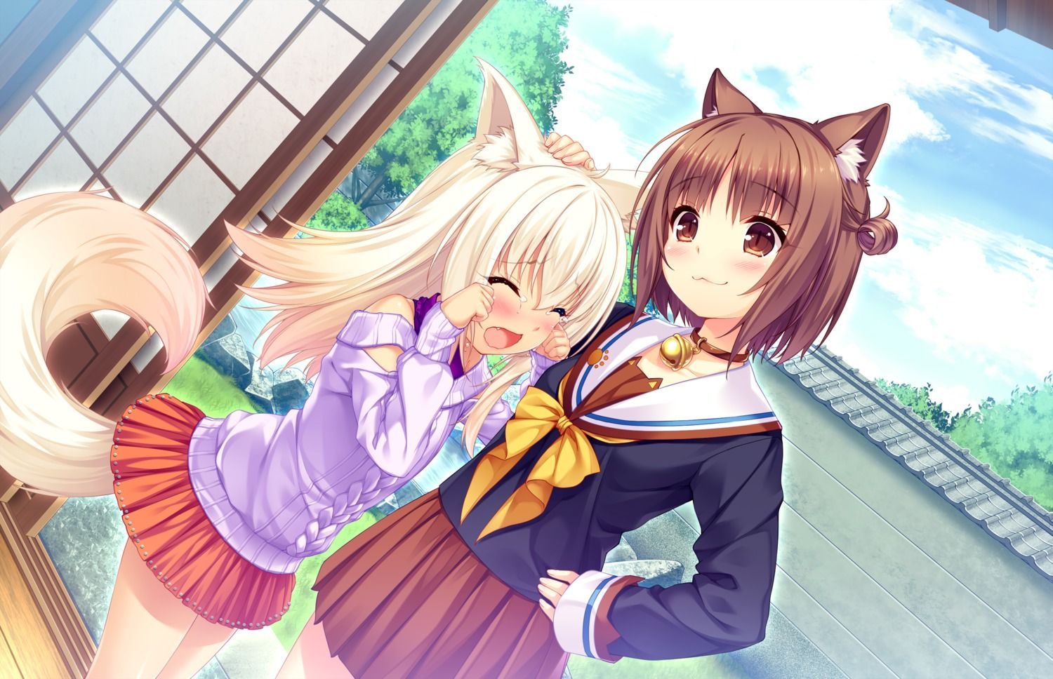 Nekopara Coconut Anime Cute Wallpapers Wallpaper Cave