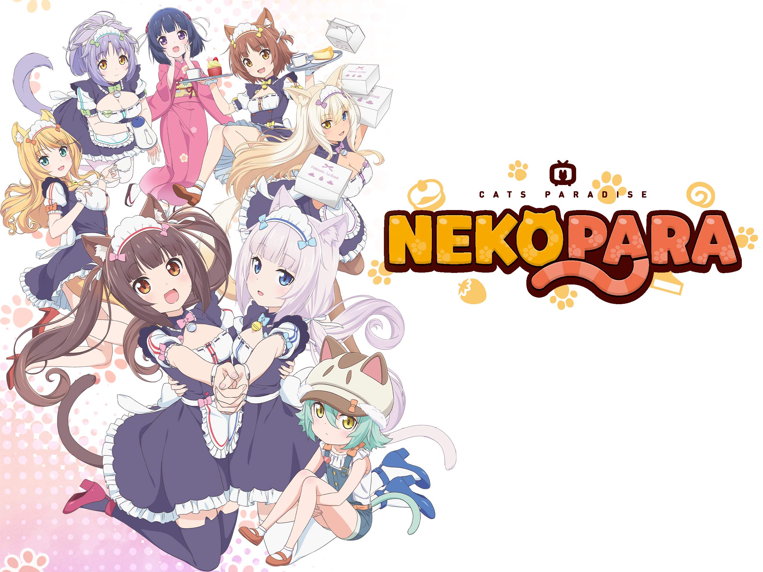 Nekopara Coconut Anime Cute Wallpapers Wallpaper Cave