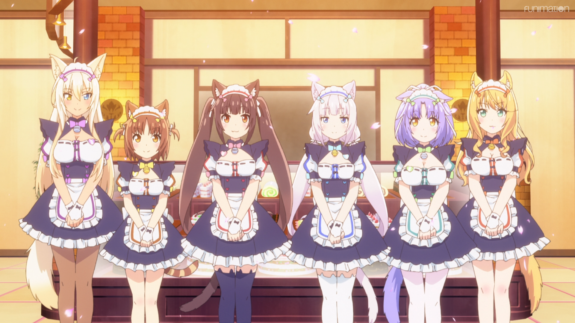 Review & Discussion About: Nekopara. The Chuuni Corner