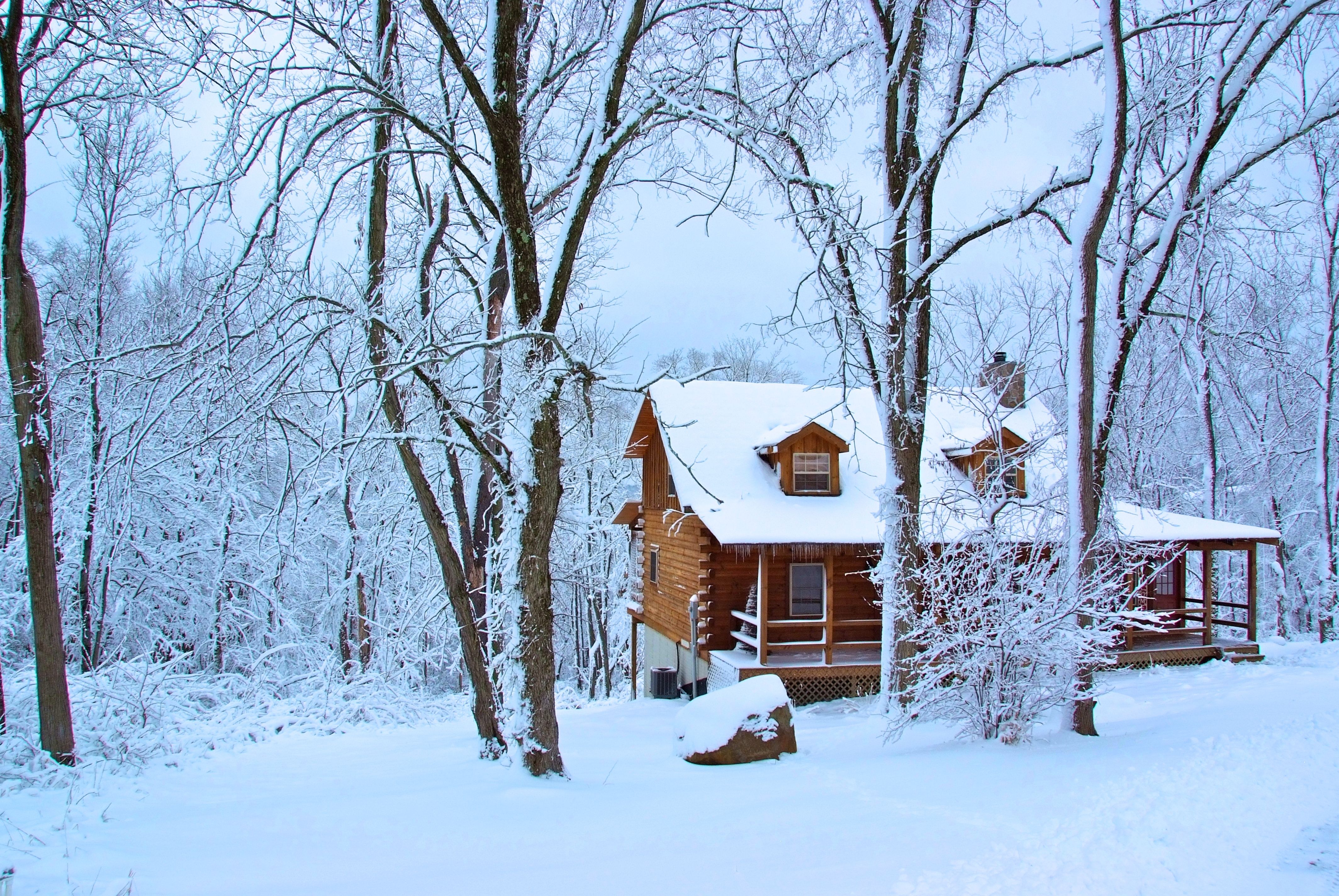 Download Warm and Charming Cozy Winter Cabin Nestled in Snowy Forest  Wallpaper  Wallpaperscom