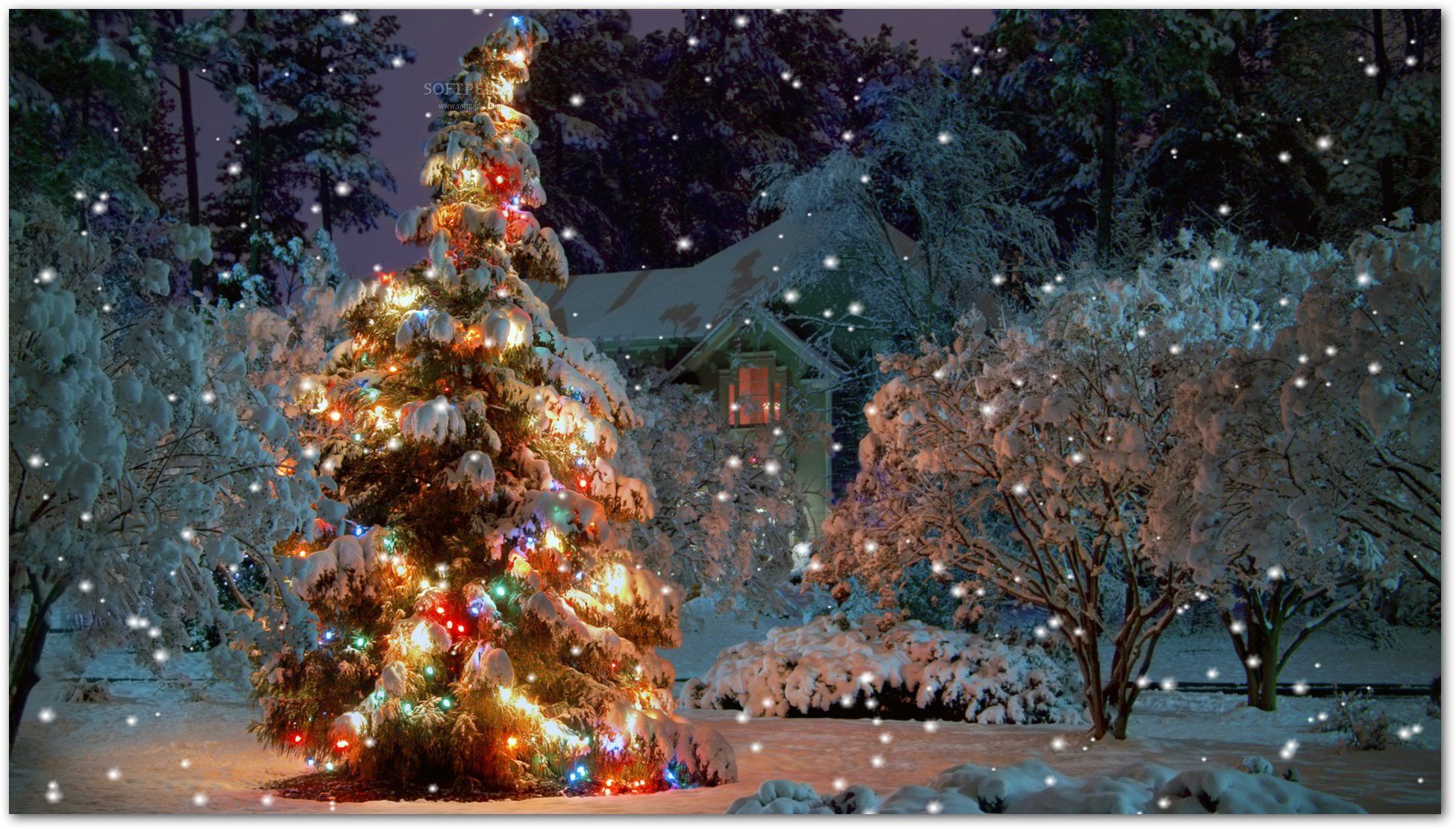Snow Covered Christmas Tree Wallpapers - Wallpaper Cave