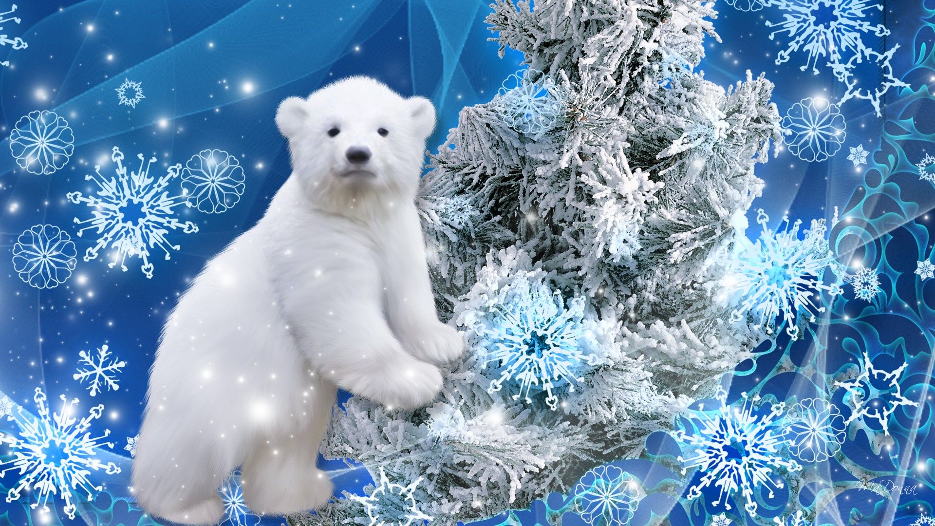 Christmas Polar Bear Wallpapers - Wallpaper Cave