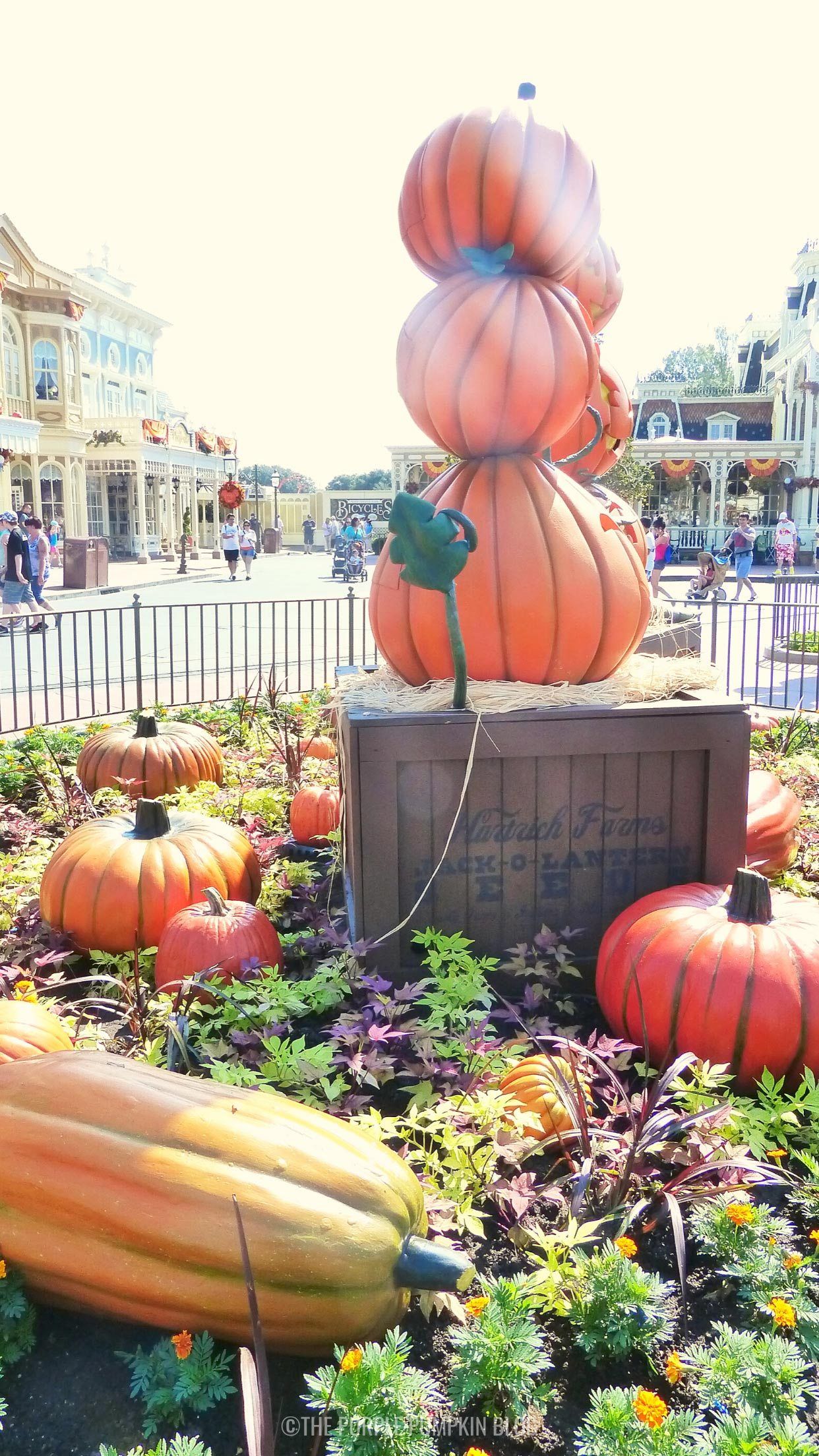 Thanksgiving Disney iPhone Wallpapers - Wallpaper Cave