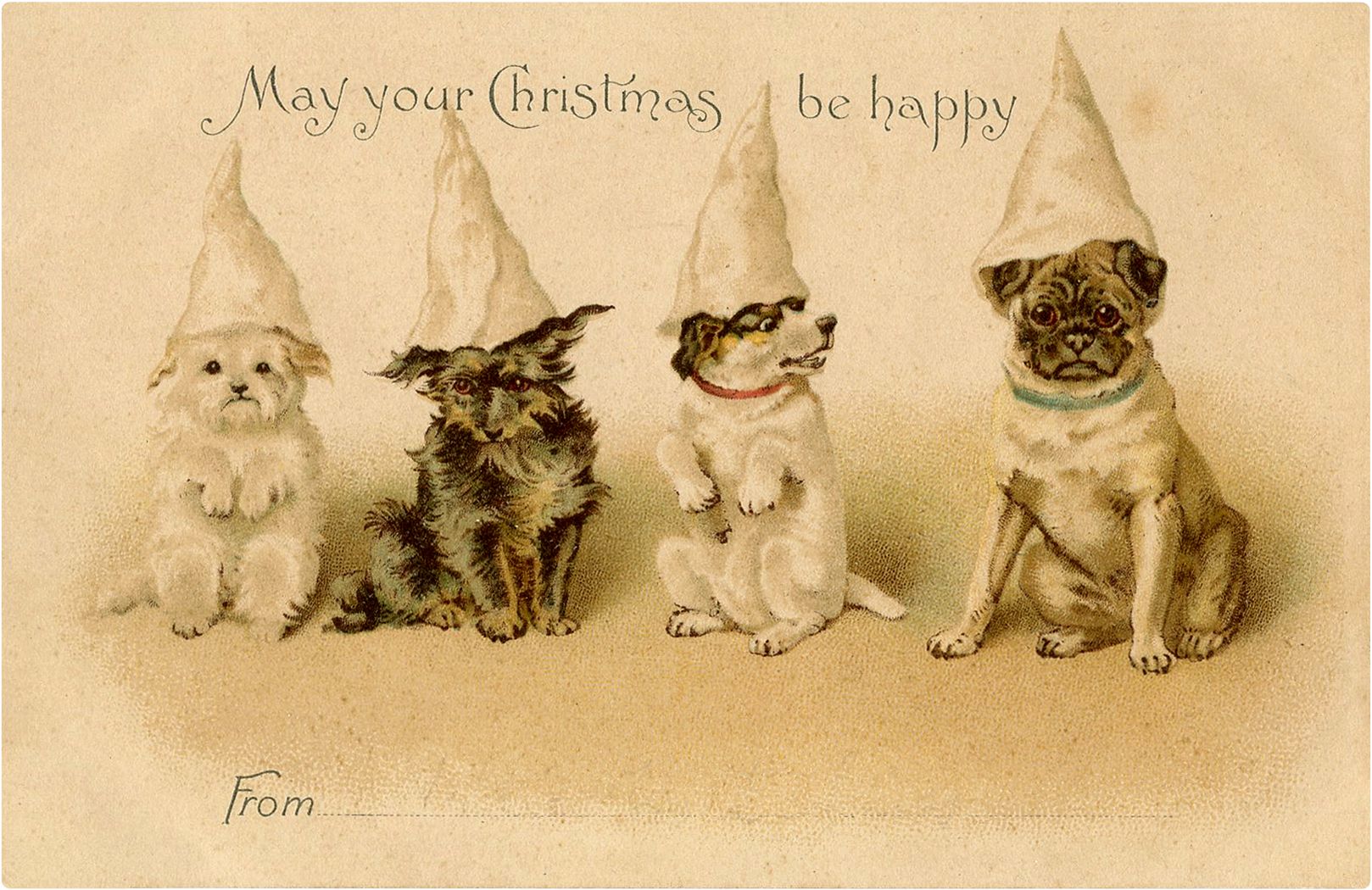 Vintage Christmas Dog Image! Graphics Fairy