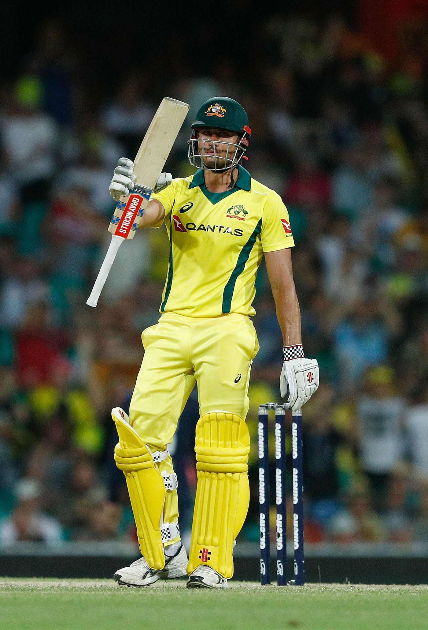 Marcus Stoinis Best Cool Picture And HD Wallpaper